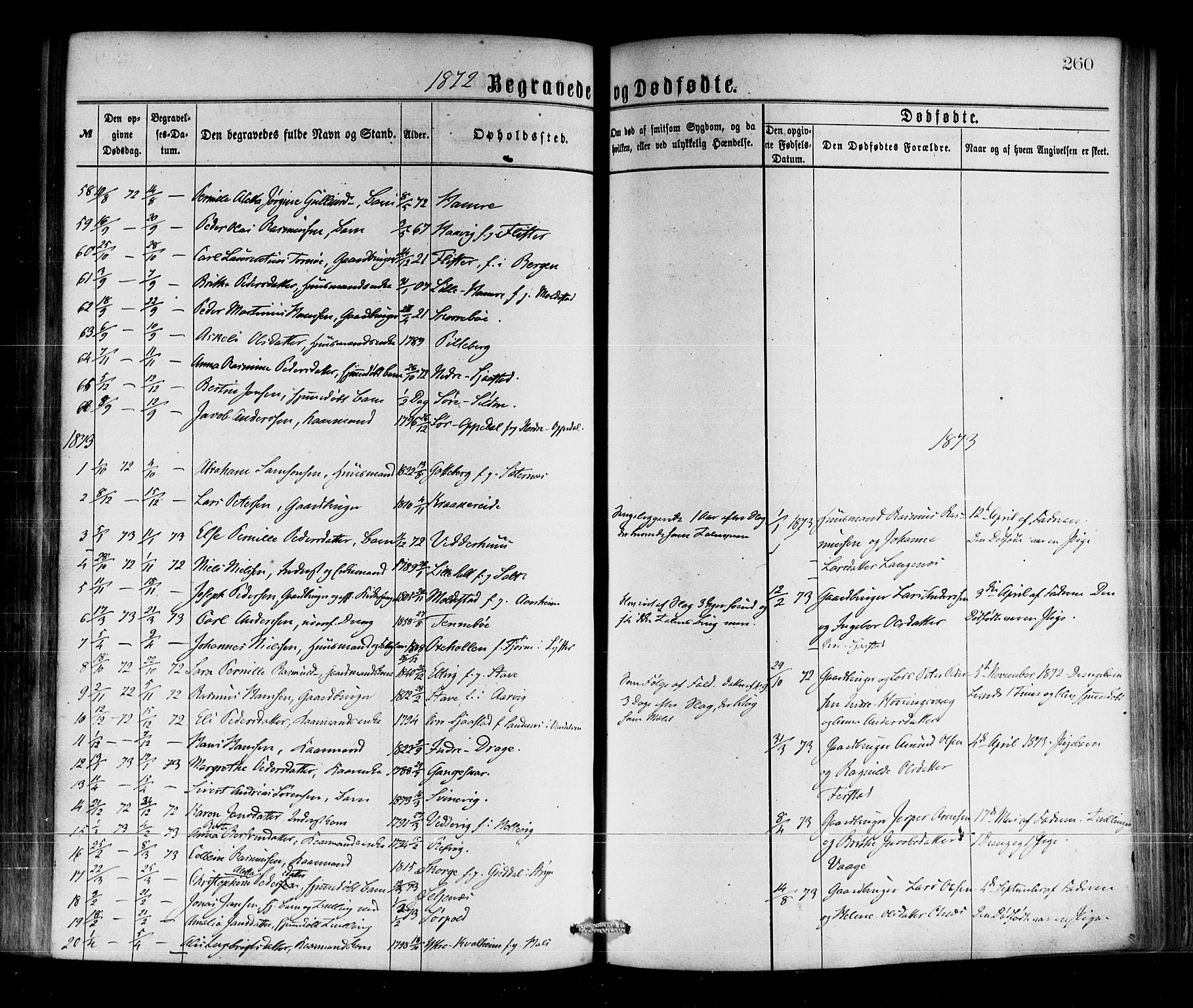 Selje sokneprestembete, SAB/A-99938/H/Ha/Haa/Haaa: Parish register (official) no. A 12, 1870-1880, p. 260
