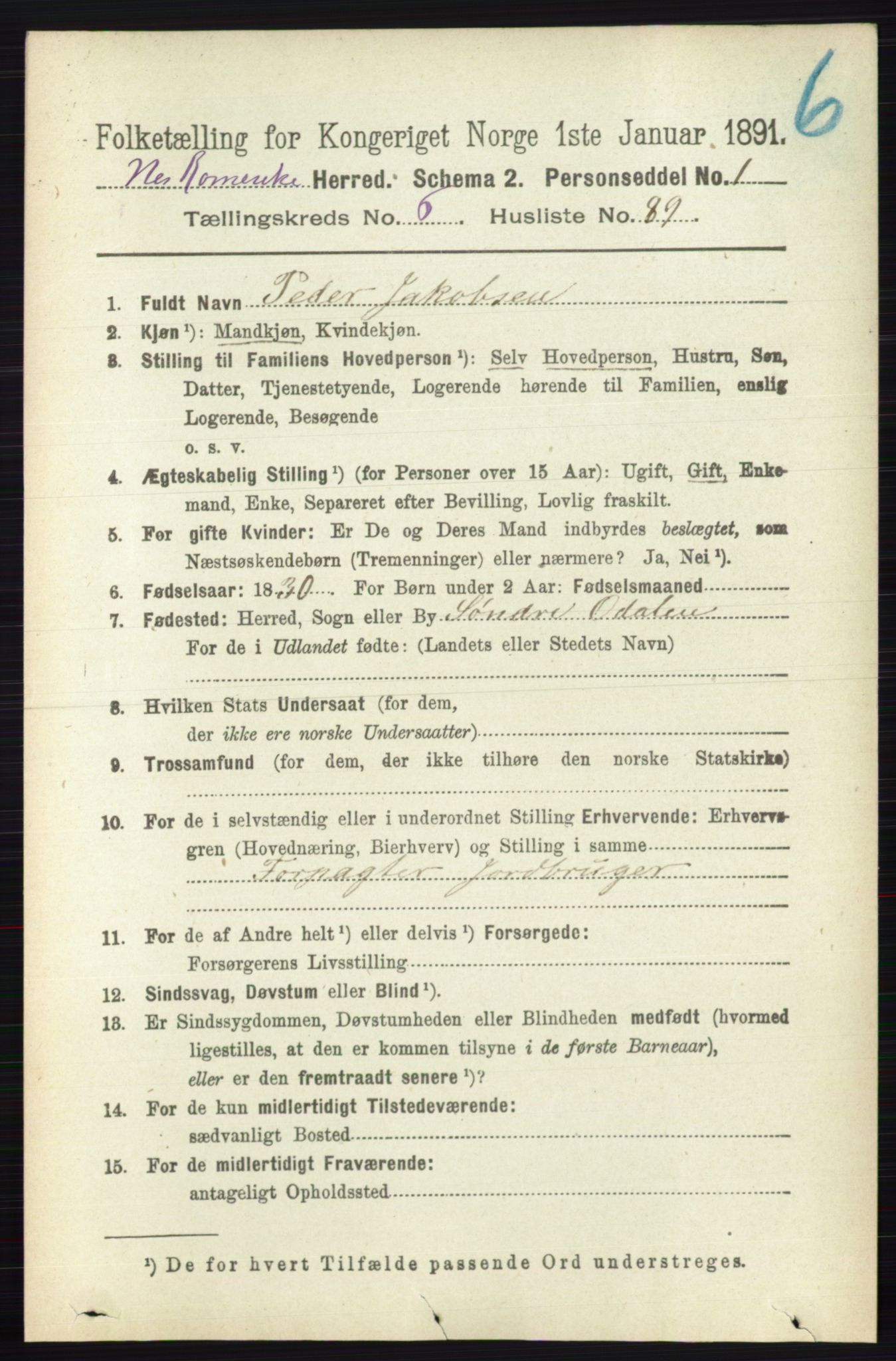 RA, 1891 census for 0236 Nes, 1891, p. 3927