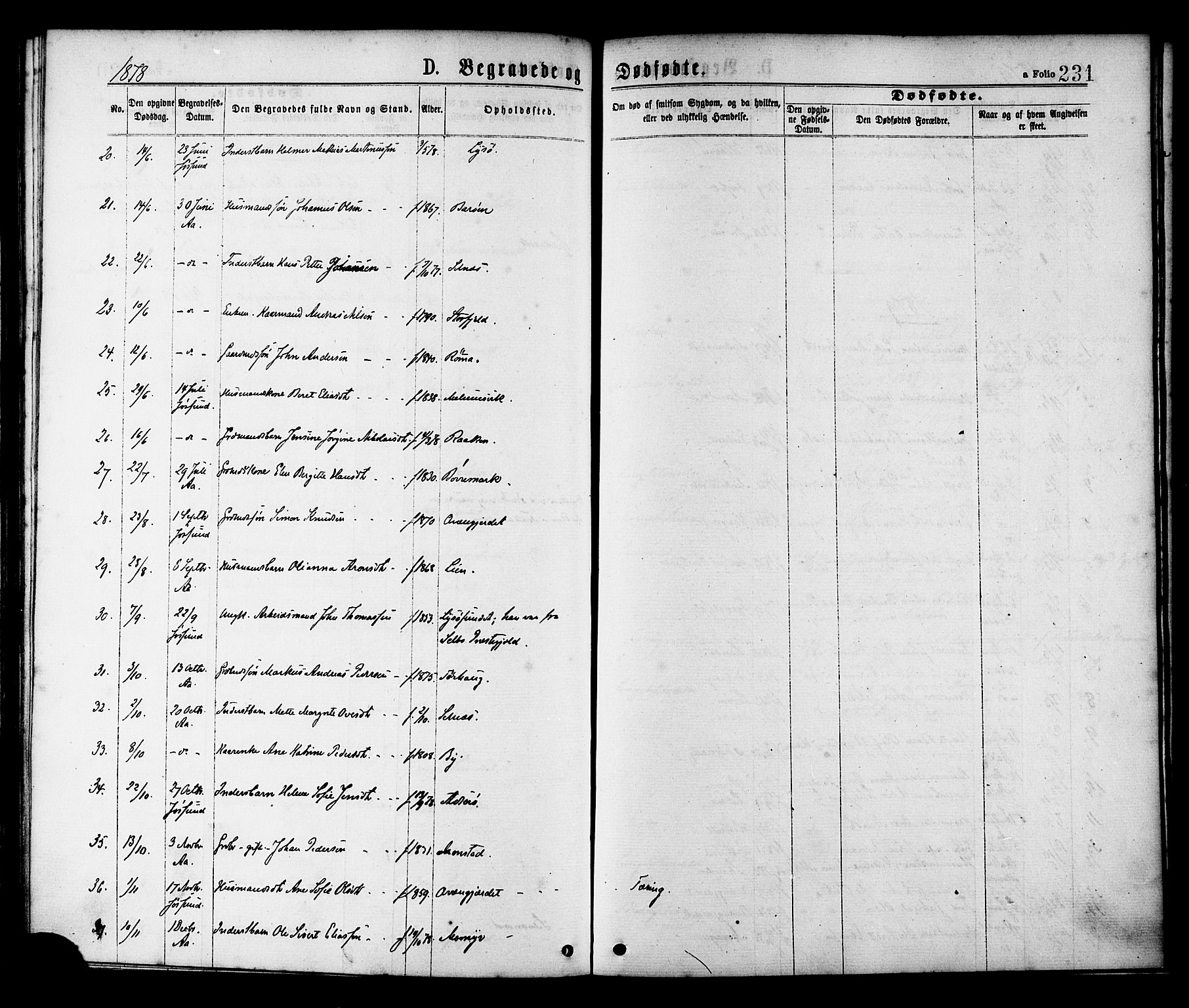 Ministerialprotokoller, klokkerbøker og fødselsregistre - Sør-Trøndelag, SAT/A-1456/655/L0679: Parish register (official) no. 655A08, 1873-1879, p. 231