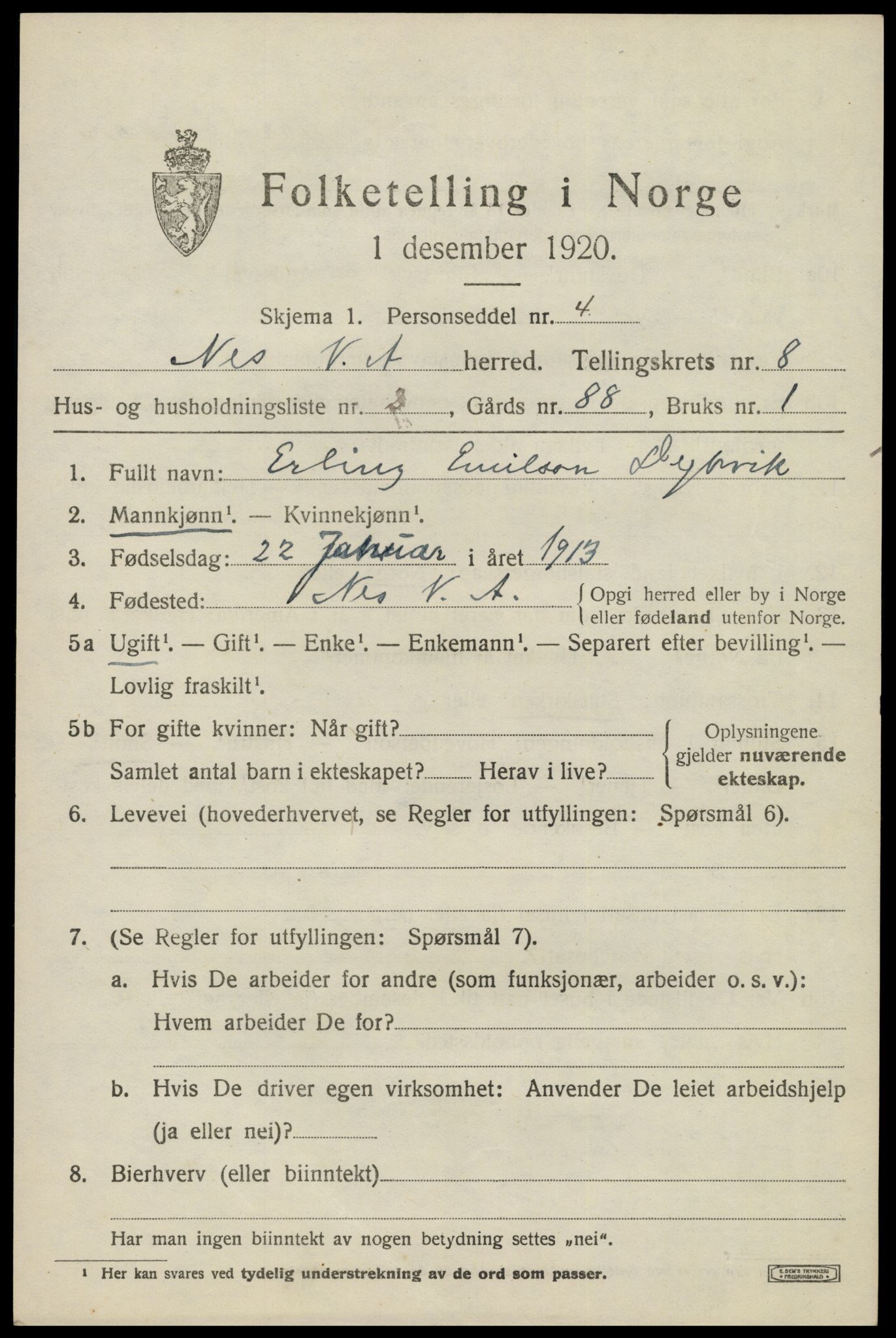 SAK, 1920 census for Nes (V-A), 1920, p. 3588