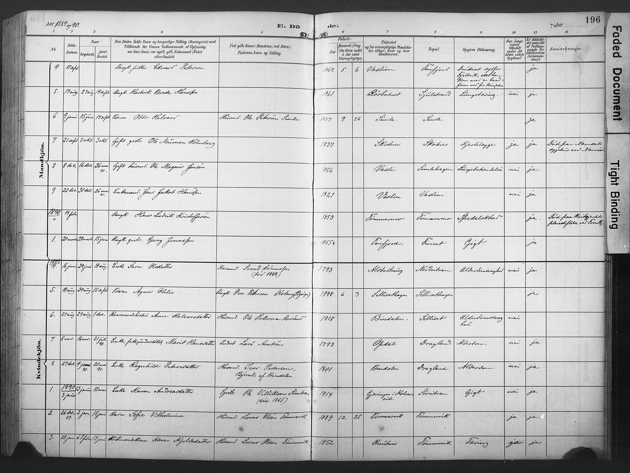 Ministerialprotokoller, klokkerbøker og fødselsregistre - Nord-Trøndelag, SAT/A-1458/789/L0706: Parish register (copy) no. 789C01, 1888-1931, p. 196