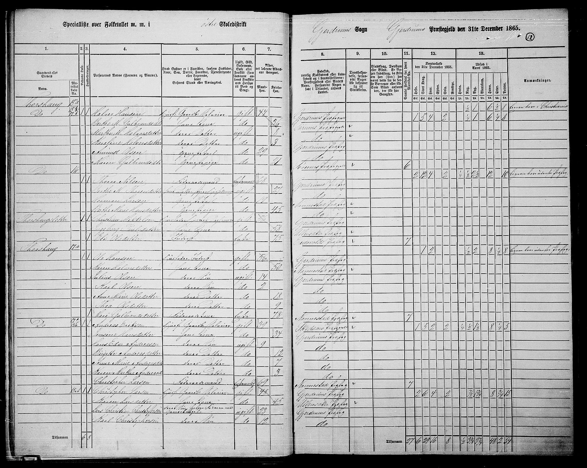 RA, 1865 census for Gjerdrum, 1865, p. 11