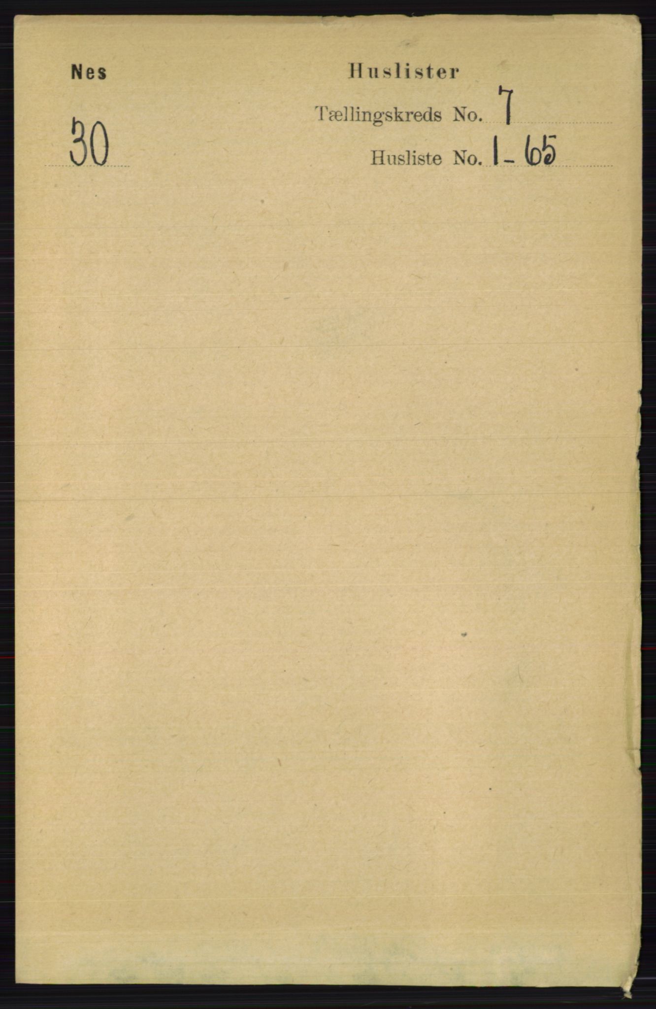RA, 1891 census for 0236 Nes, 1891, p. 3941