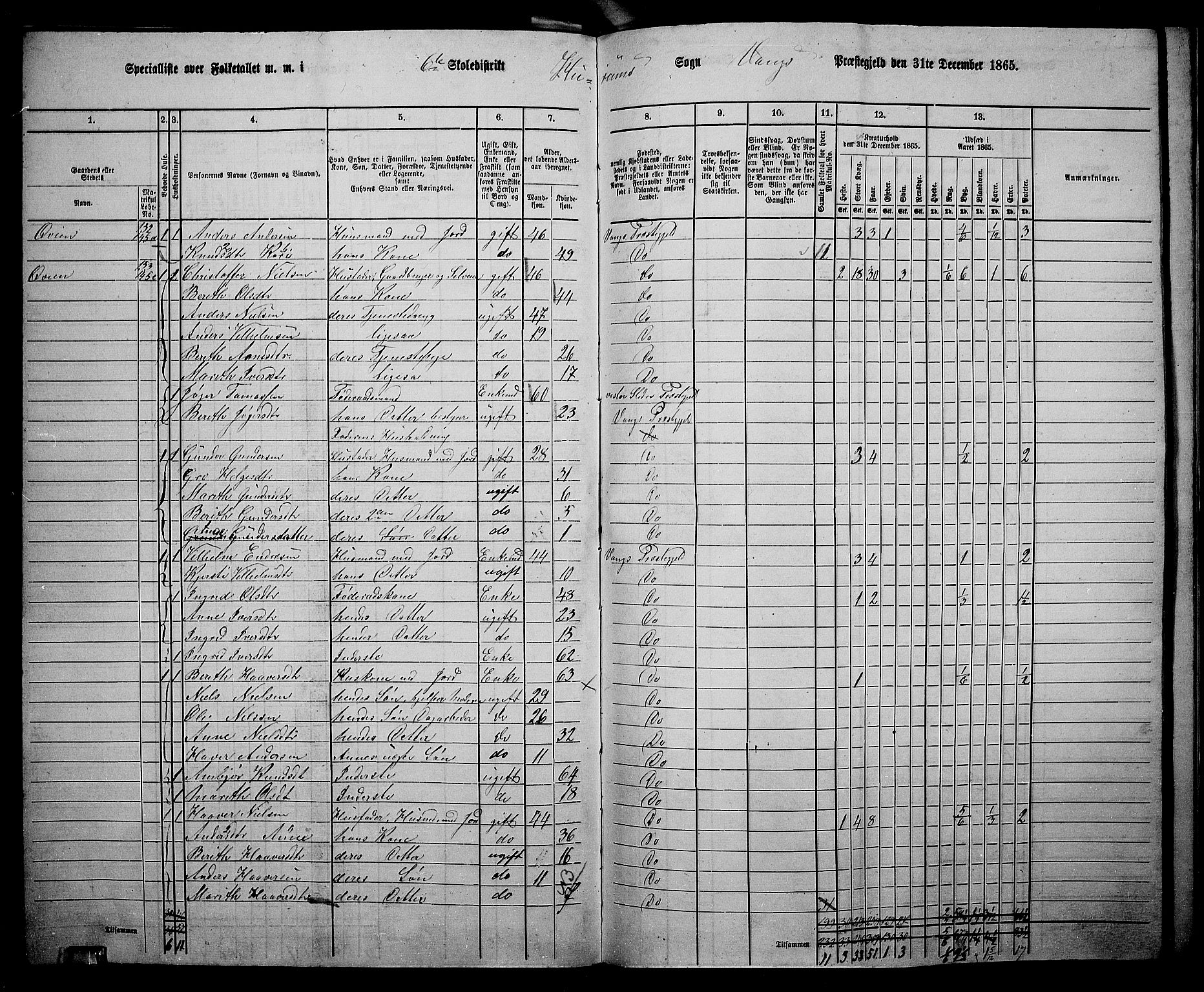 RA, 1865 census for Vang, 1865, p. 104