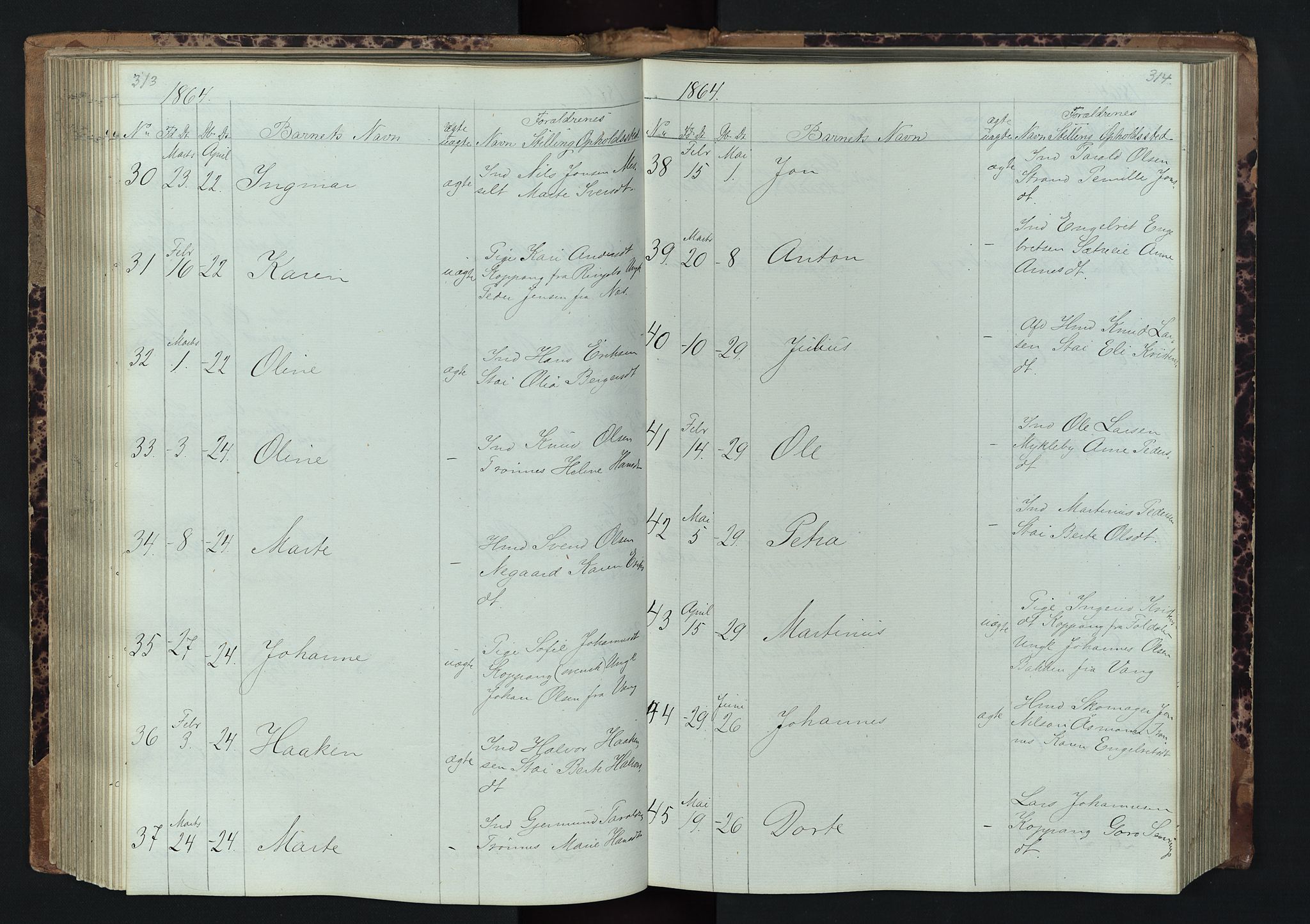 Stor-Elvdal prestekontor, SAH/PREST-052/H/Ha/Hab/L0001: Parish register (copy) no. 1 /1, 1860-1894, p. 313-314