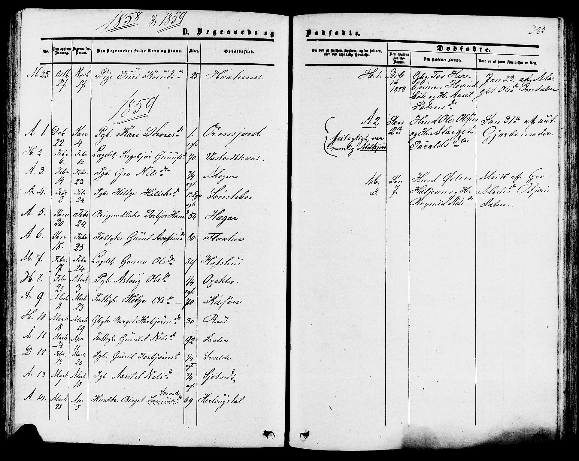 Tinn kirkebøker, AV/SAKO-A-308/F/Fa/L0006: Parish register (official) no. I 6, 1857-1878, p. 325