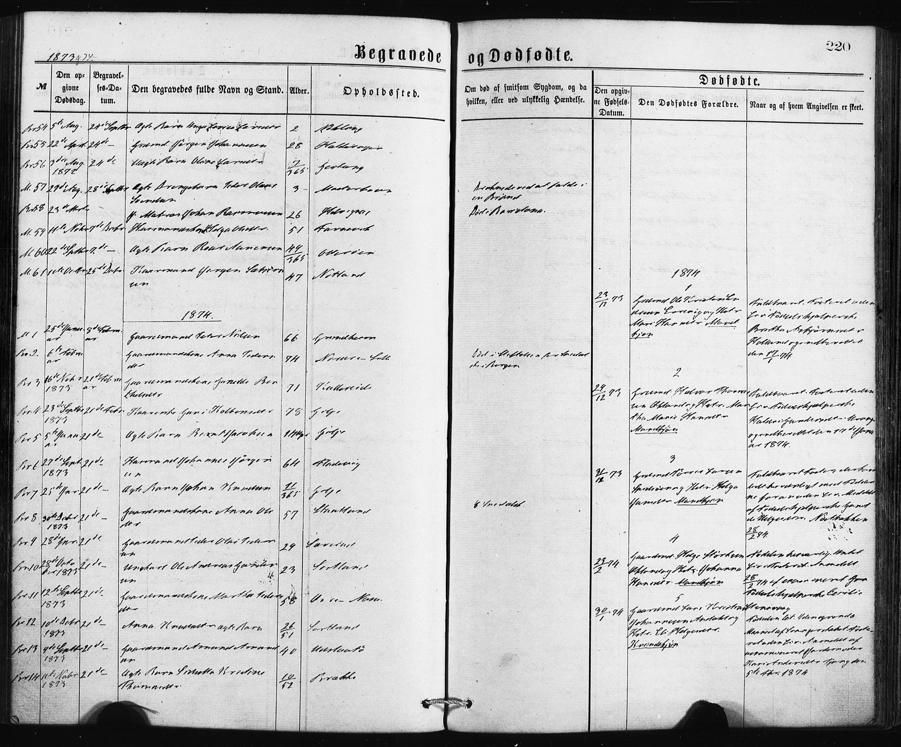 Finnås sokneprestembete, AV/SAB-A-99925/H/Ha/Haa/Haaa/L0009: Parish register (official) no. A 9, 1873-1881, p. 220