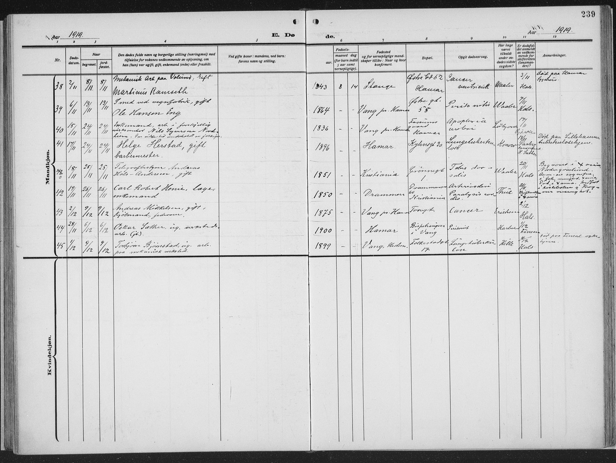 Hamar prestekontor, AV/SAH-DOMPH-002/H/Ha/Haa/L0002: Parish register (official) no. 2, 1915-1936, p. 239