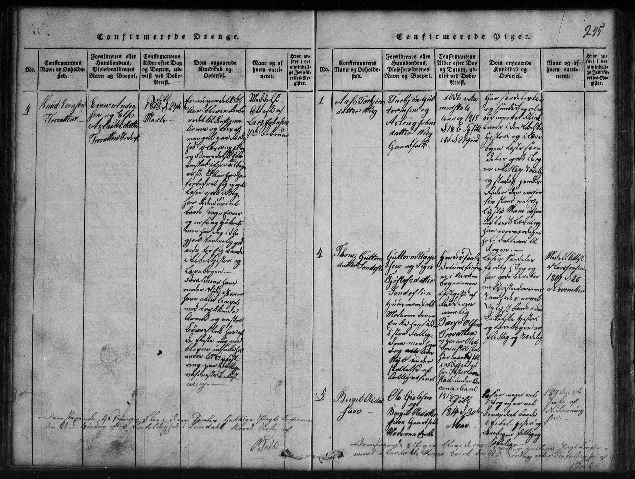 Rauland kirkebøker, SAKO/A-292/G/Gb/L0001: Parish register (copy) no. II 1, 1815-1886, p. 245