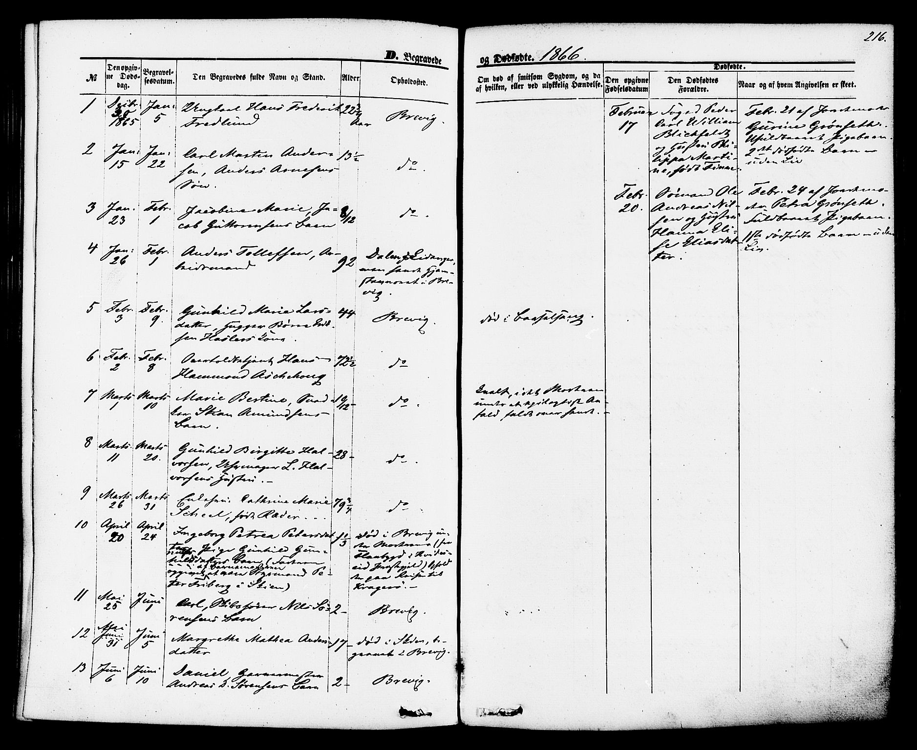 Brevik kirkebøker, SAKO/A-255/F/Fa/L0006: Parish register (official) no. 6, 1866-1881, p. 216