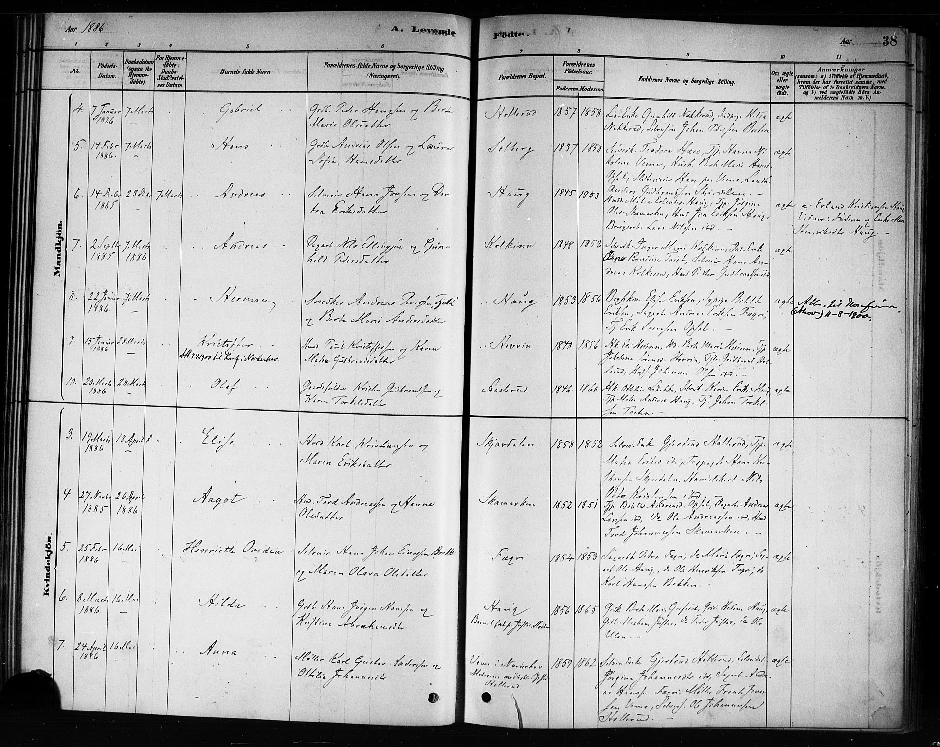 Hole kirkebøker, SAKO/A-228/F/Fb/L0001: Parish register (official) no. II 1, 1878-1891, p. 38