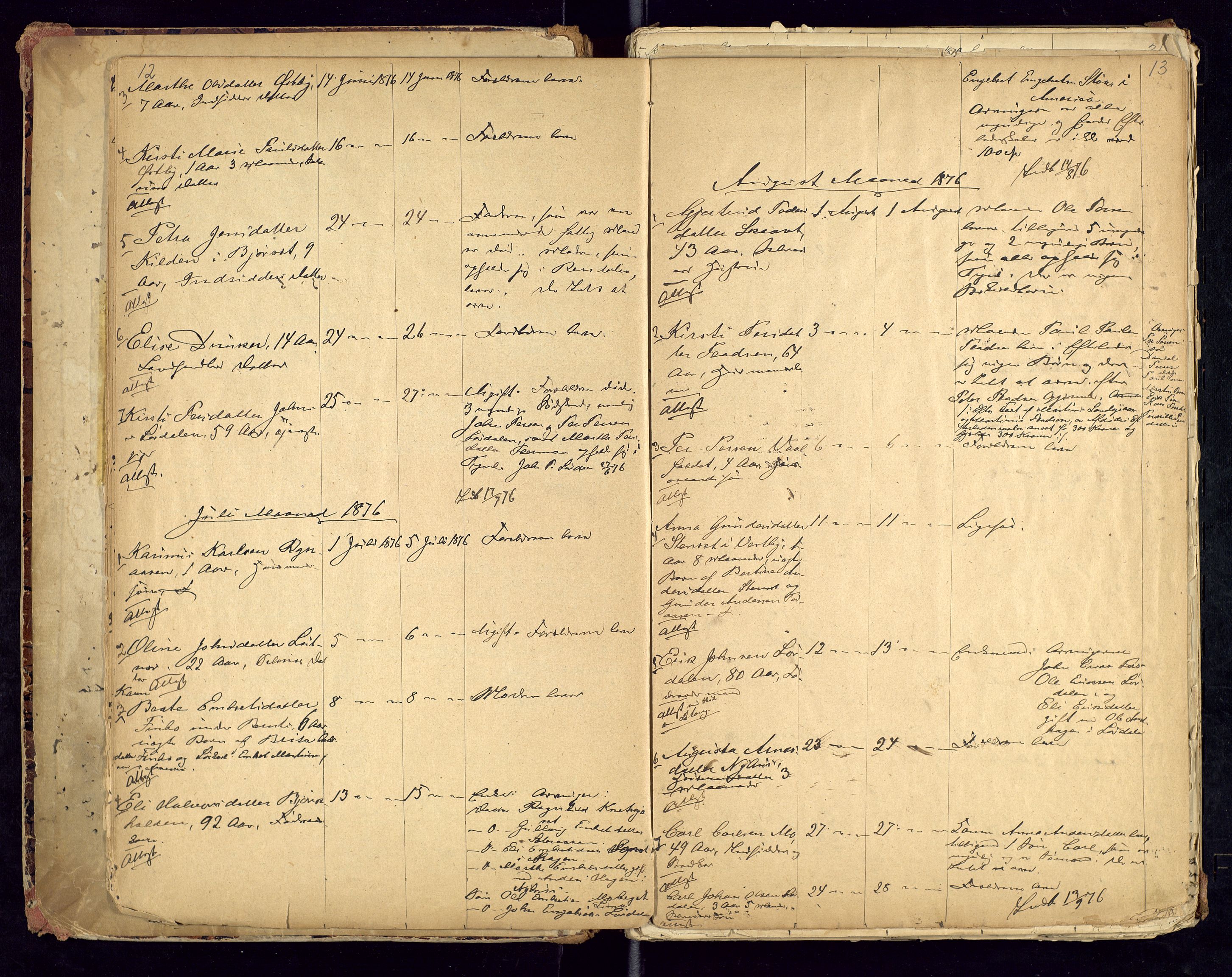 Trysil lensmannskontor, AV/SAH-LHT-026/H/Ha/L0001: Dødsfallsprotokoll, 1875-1901, p. 12-13