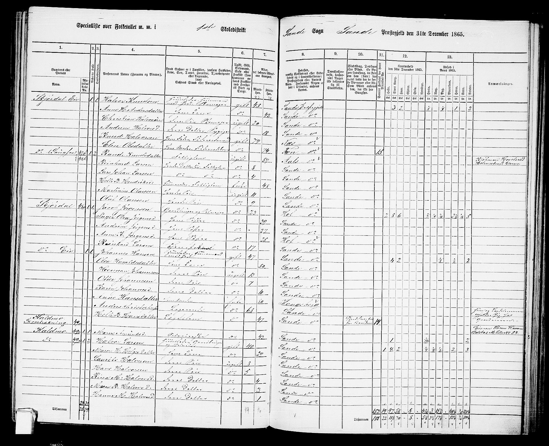 RA, 1865 census for Sande, 1865, p. 27