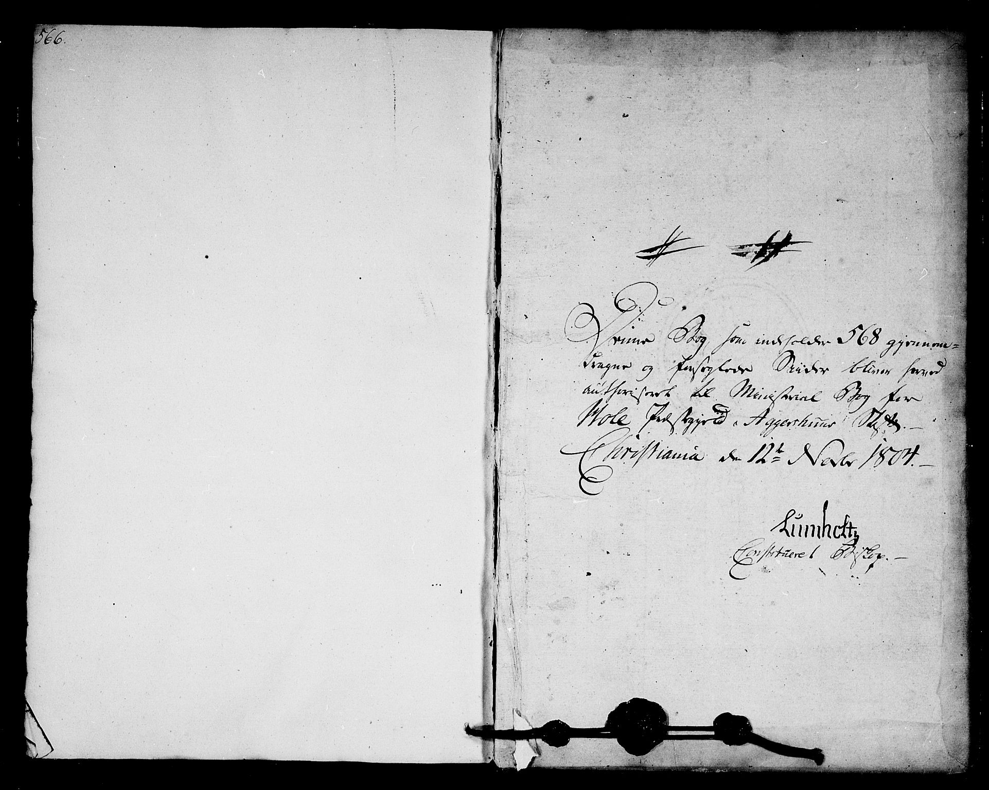 Hole kirkebøker, SAKO/A-228/F/Fa/L0003: Parish register (official) no. I 3, 1805-1814, p. 566-567