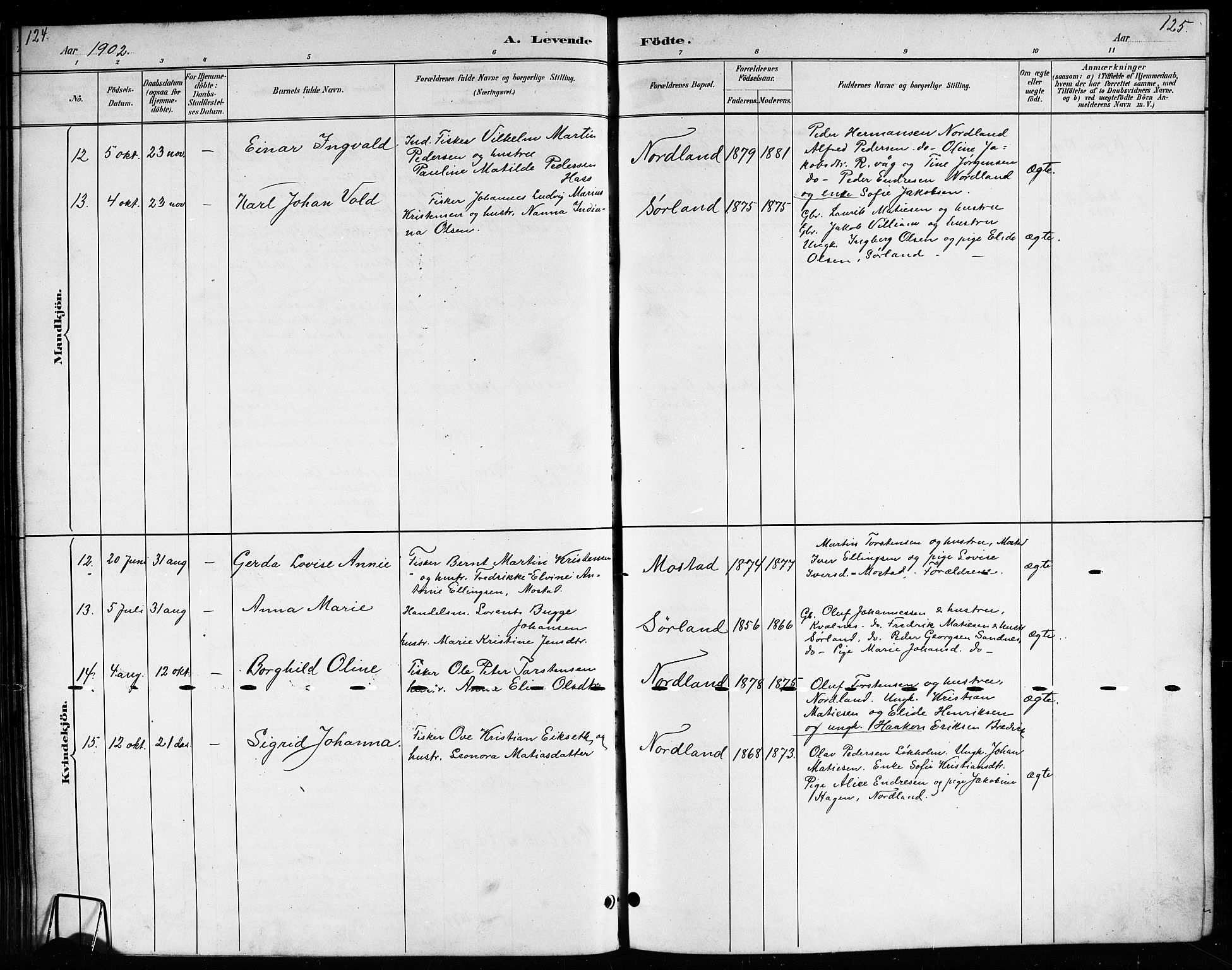 Ministerialprotokoller, klokkerbøker og fødselsregistre - Nordland, SAT/A-1459/807/L0123: Parish register (copy) no. 807C01, 1884-1910, p. 124-125