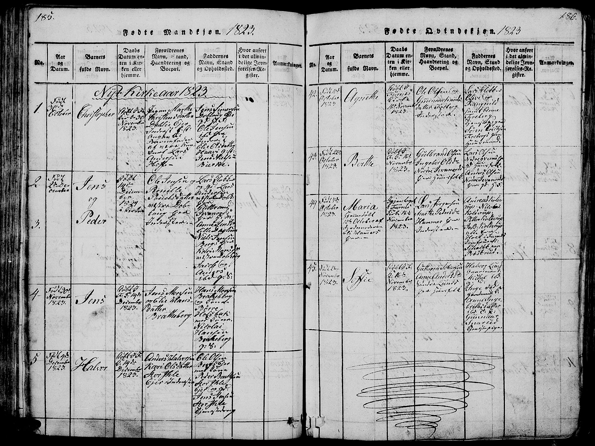 Vang prestekontor, Hedmark, SAH/PREST-008/H/Ha/Hab/L0005: Parish register (copy) no. 5, 1815-1836, p. 185-186