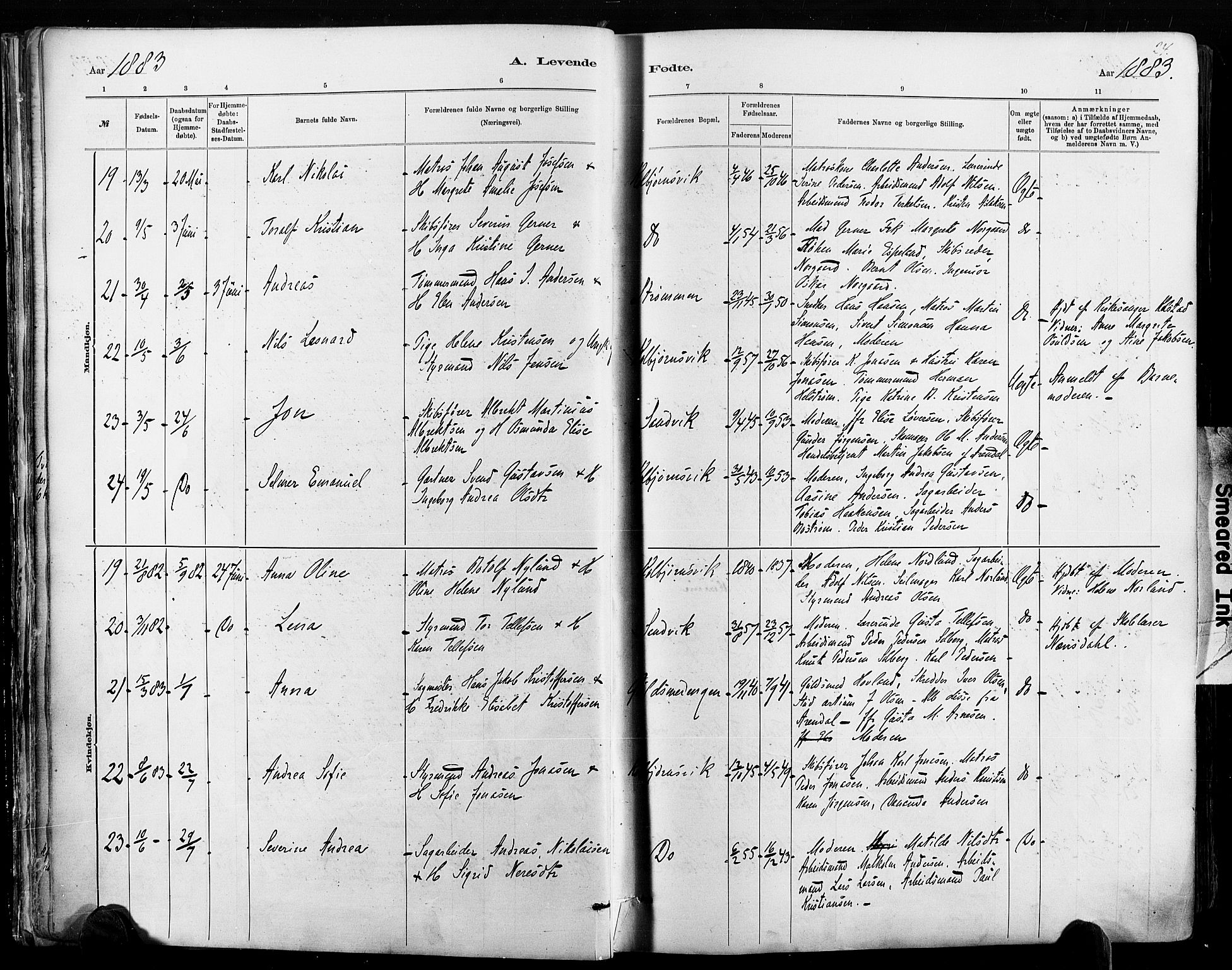 Hisøy sokneprestkontor, AV/SAK-1111-0020/F/Fa/L0003: Parish register (official) no. A 3, 1881-1894, p. 24