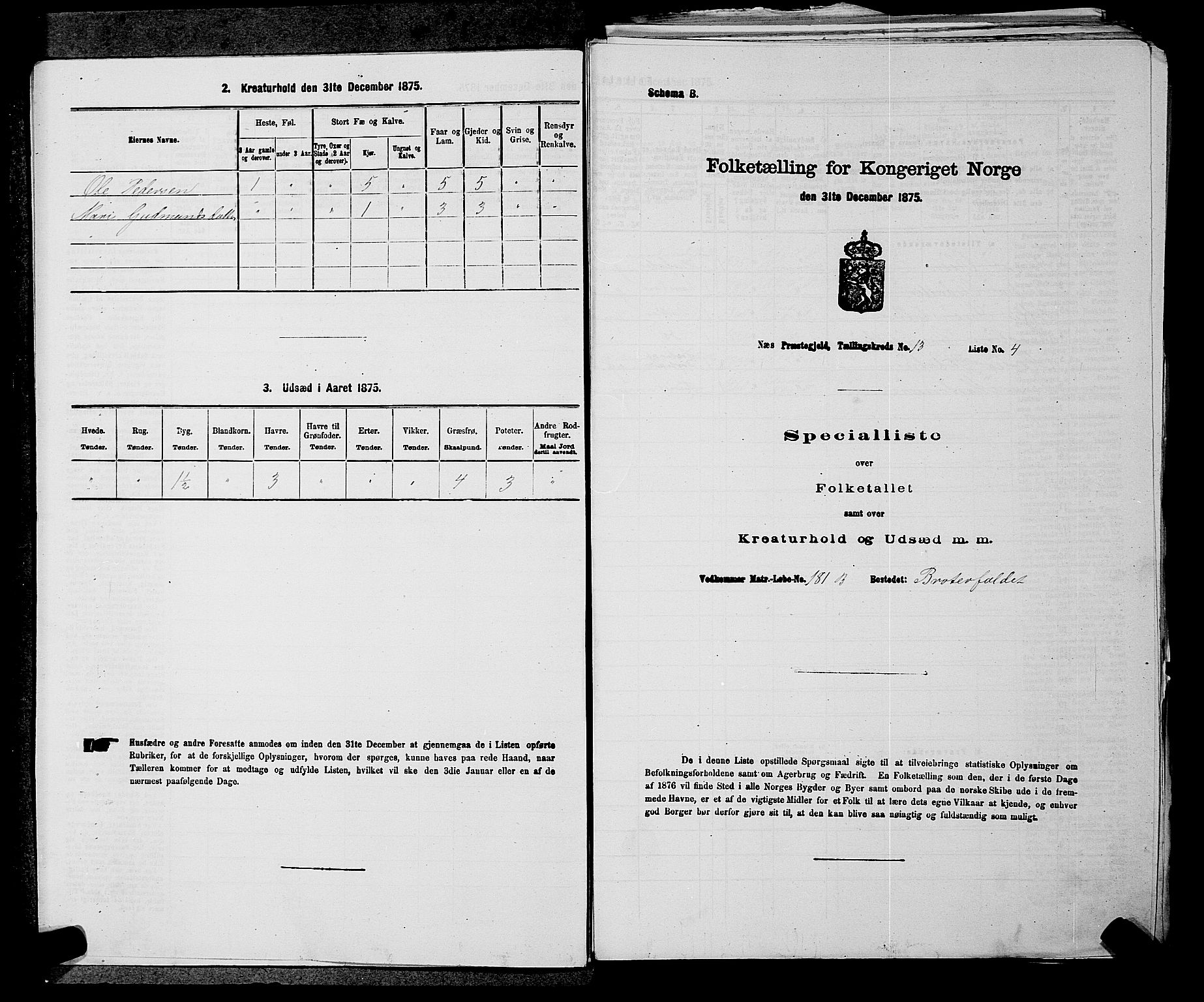 RA, 1875 census for 0236P Nes, 1875, p. 2286