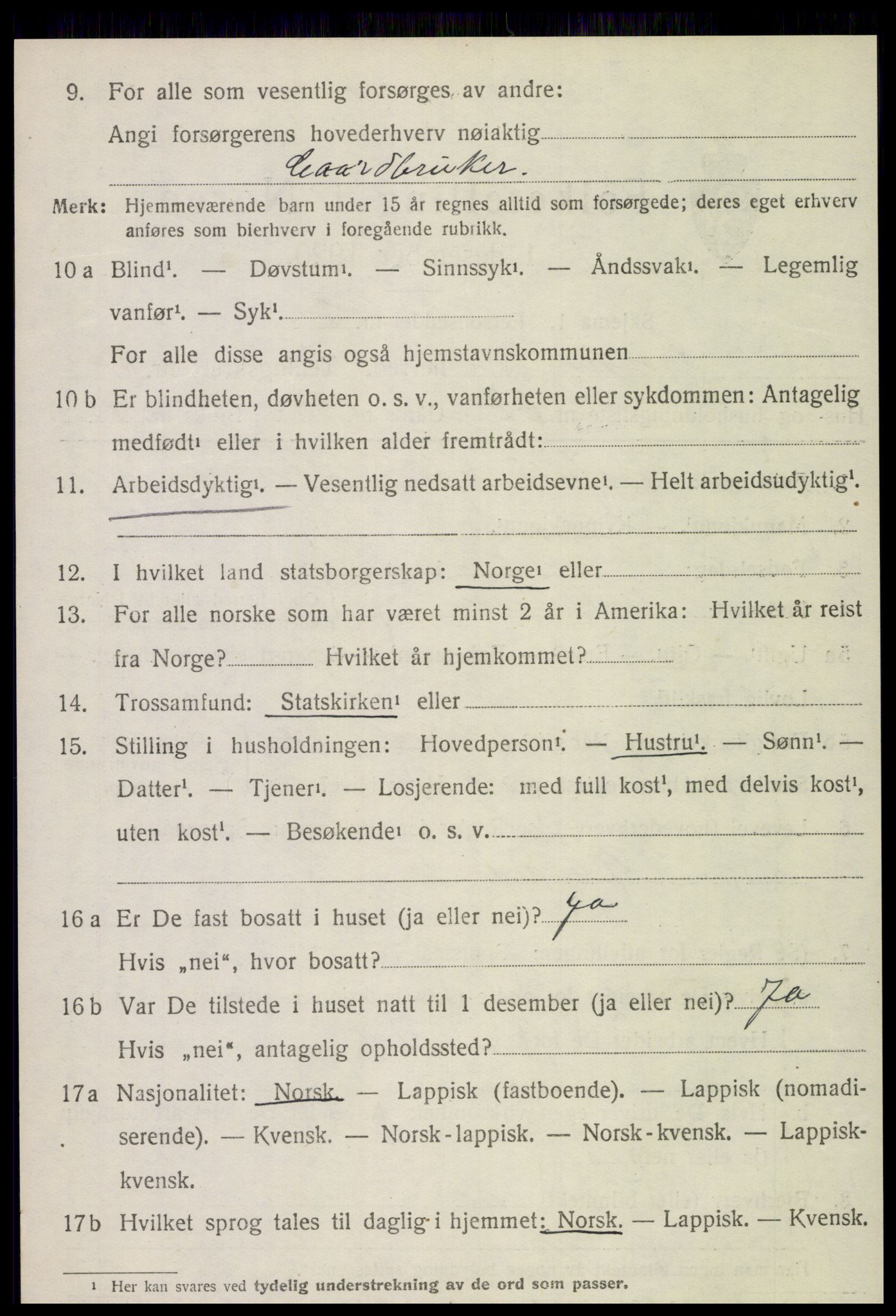 SAT, 1920 census for Snåsa, 1920, p. 4981