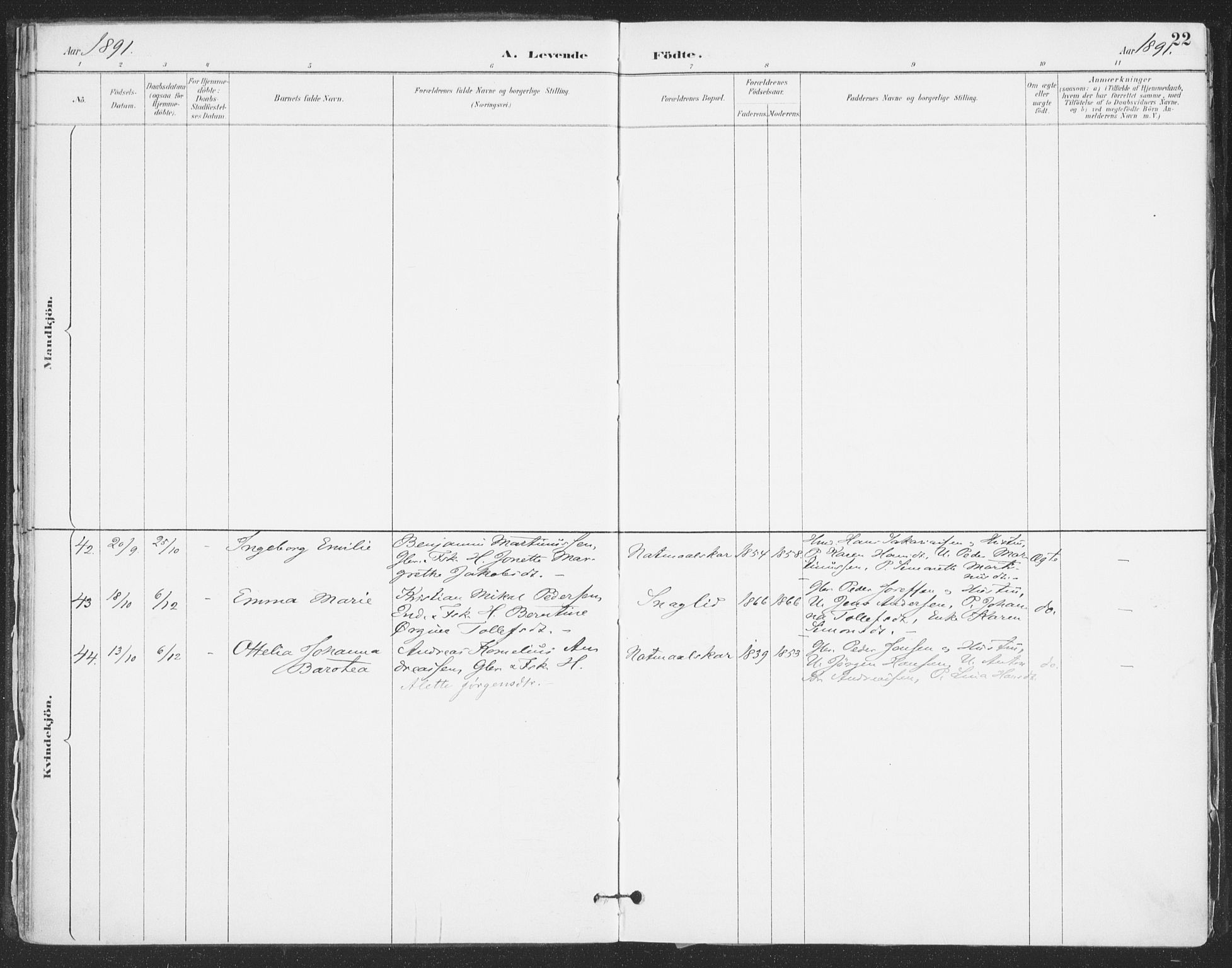 Ibestad sokneprestembete, AV/SATØ-S-0077/H/Ha/Haa/L0015kirke: Parish register (official) no. 15, 1888-1899, p. 22