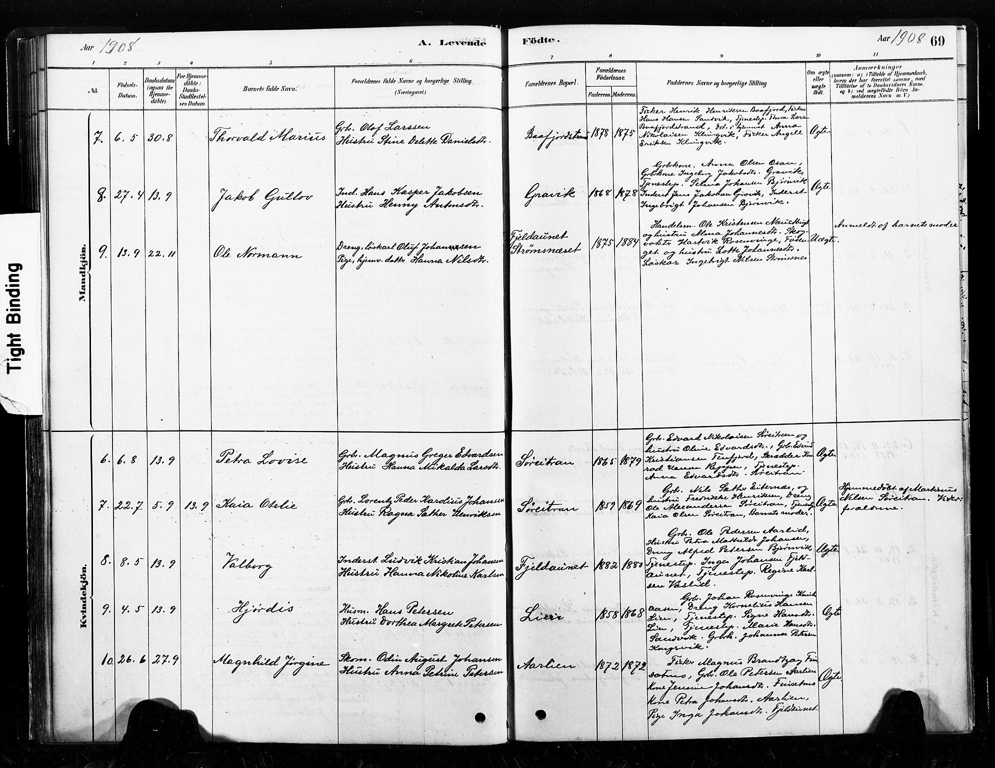 Ministerialprotokoller, klokkerbøker og fødselsregistre - Nord-Trøndelag, SAT/A-1458/789/L0705: Parish register (official) no. 789A01, 1878-1910, p. 69