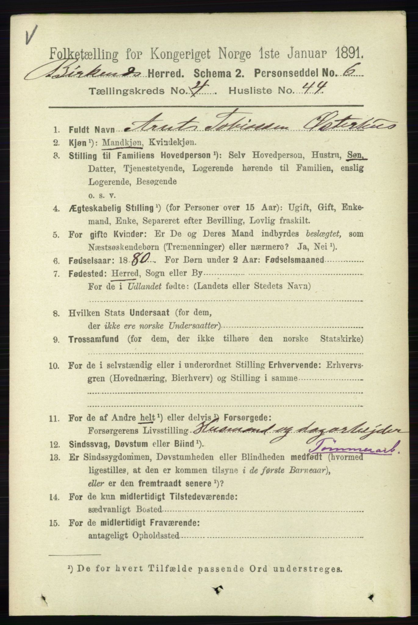 RA, 1891 Census for 0928 Birkenes, 1891, p. 1492