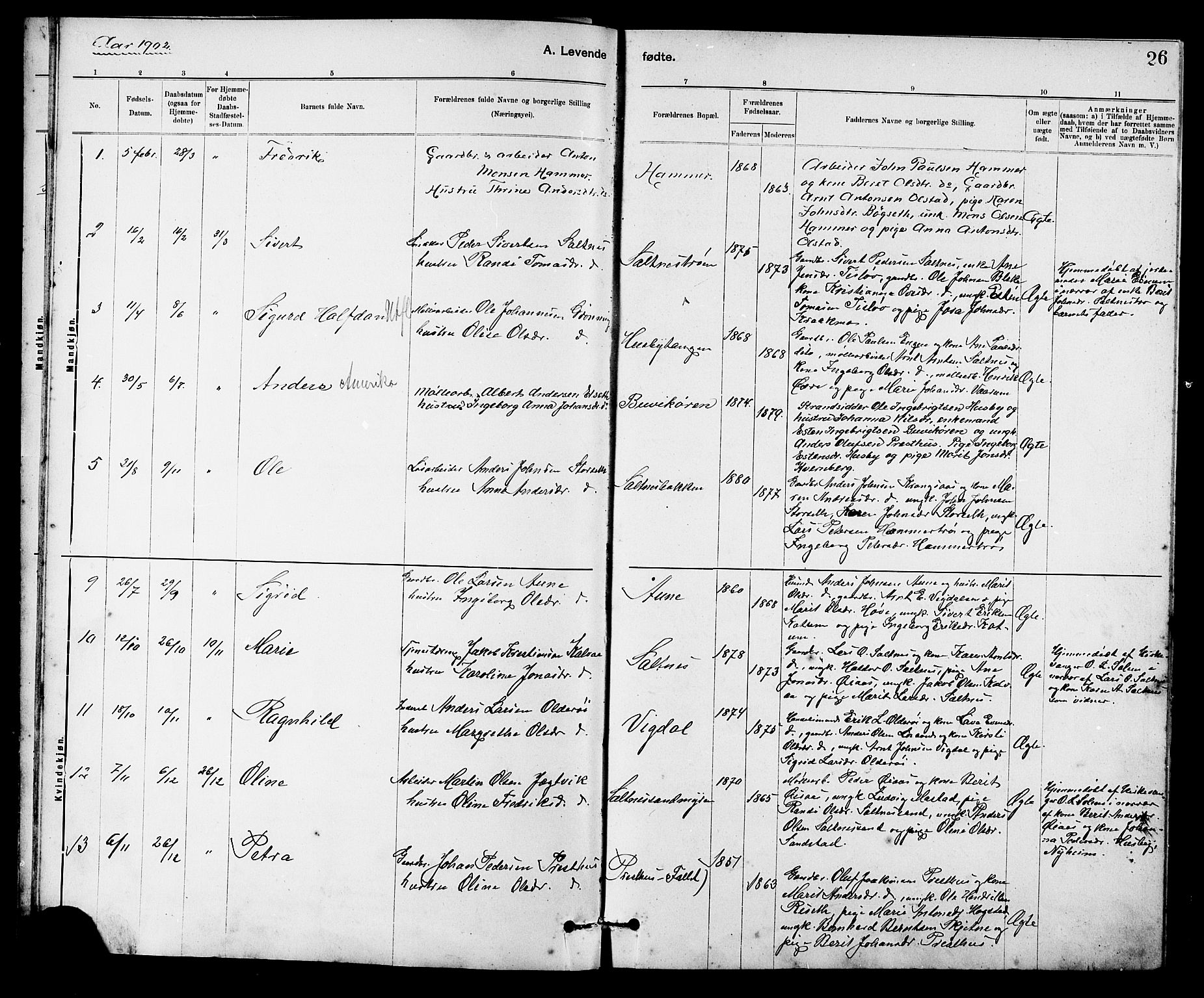 Ministerialprotokoller, klokkerbøker og fødselsregistre - Sør-Trøndelag, SAT/A-1456/666/L0790: Parish register (copy) no. 666C03, 1885-1908, p. 26