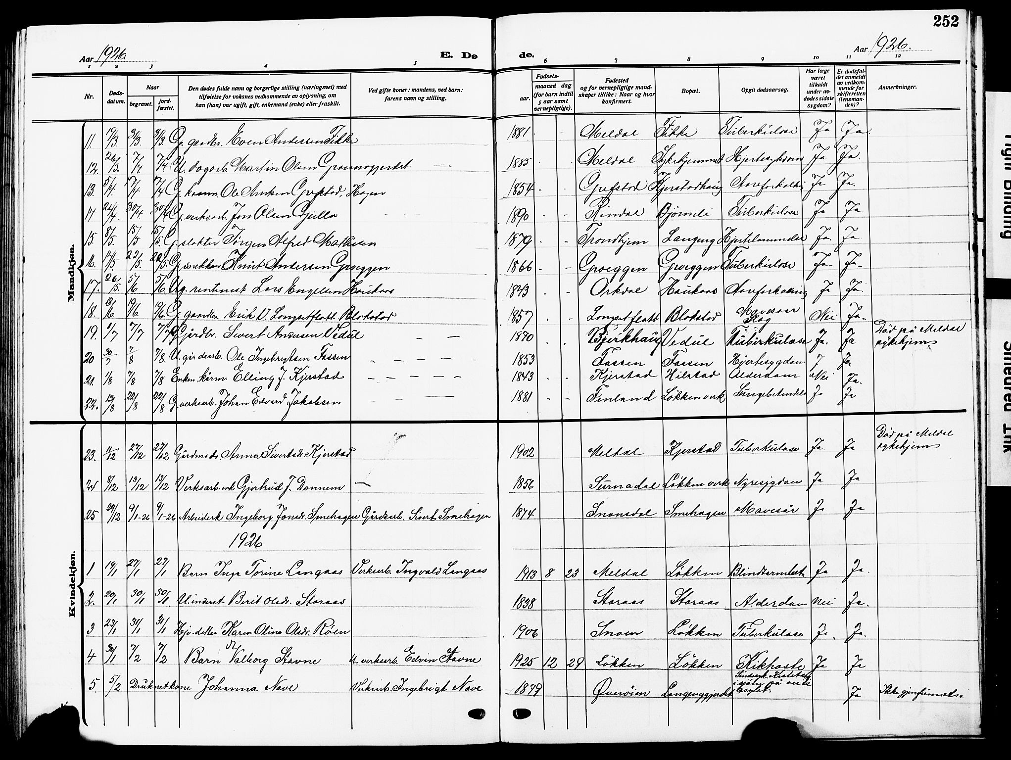 Ministerialprotokoller, klokkerbøker og fødselsregistre - Sør-Trøndelag, SAT/A-1456/672/L0865: Parish register (copy) no. 672C04, 1914-1928, p. 252
