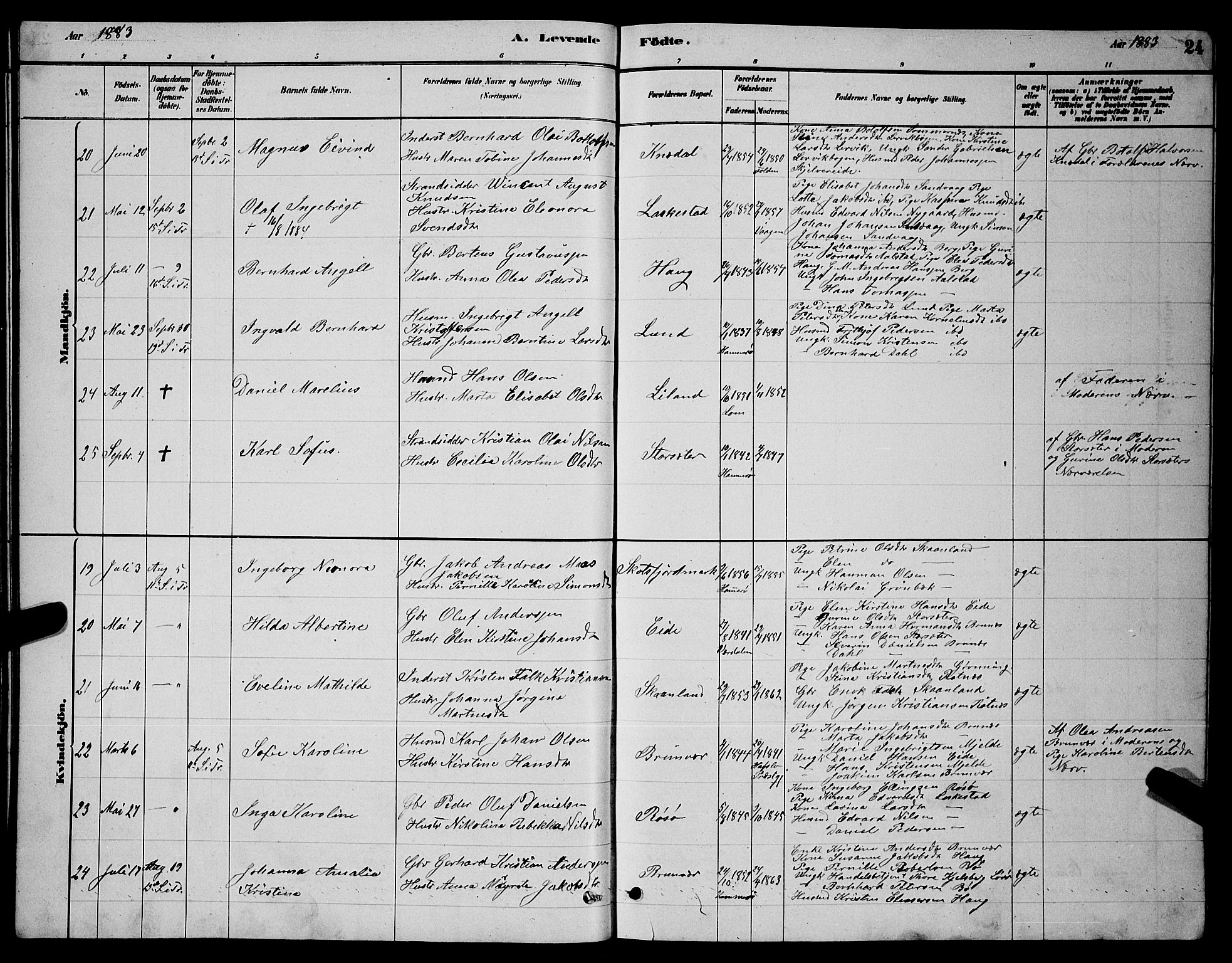 Ministerialprotokoller, klokkerbøker og fødselsregistre - Nordland, AV/SAT-A-1459/855/L0816: Parish register (copy) no. 855C05, 1879-1894, p. 24