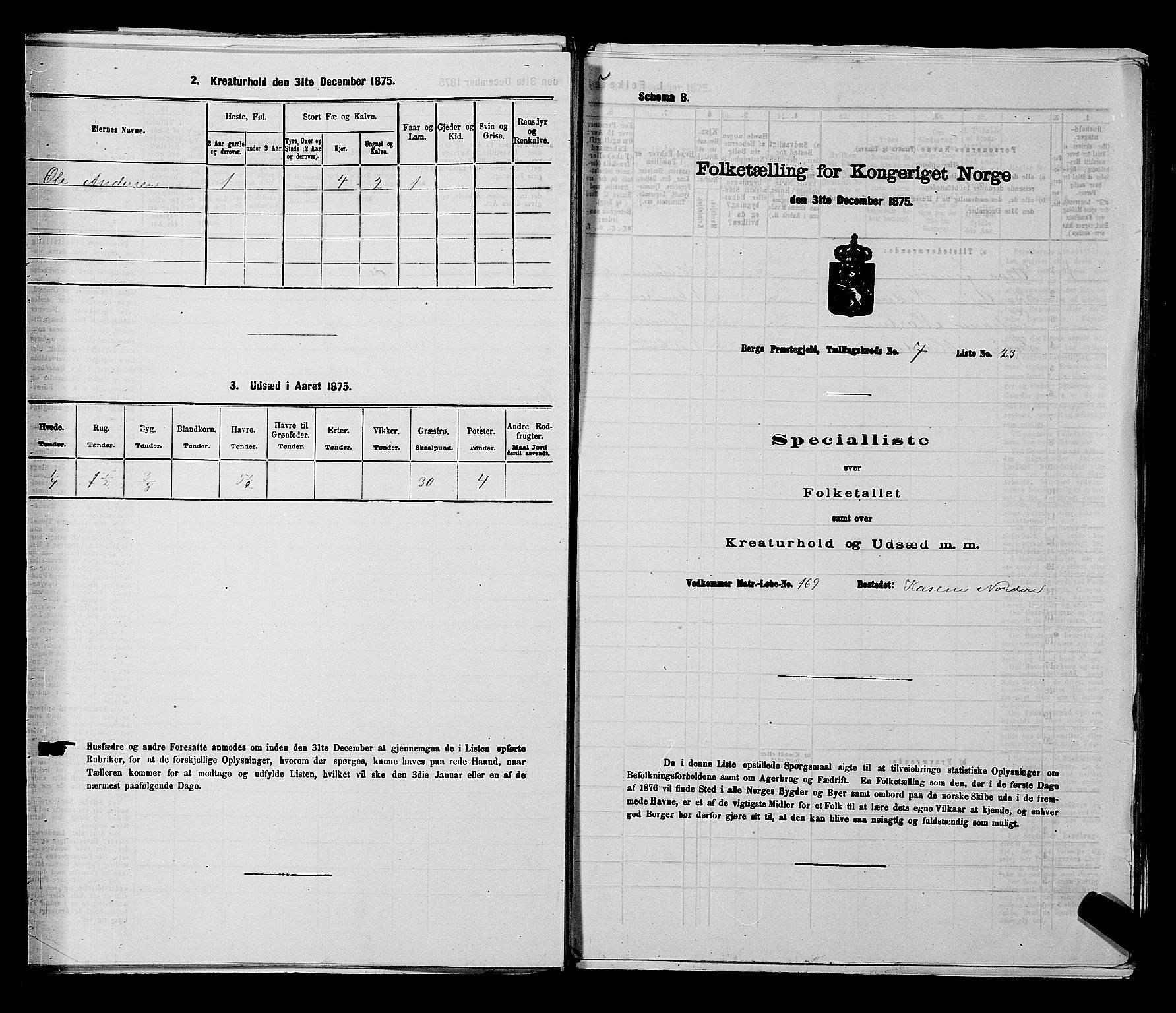 RA, 1875 census for 0116P Berg, 1875, p. 1141