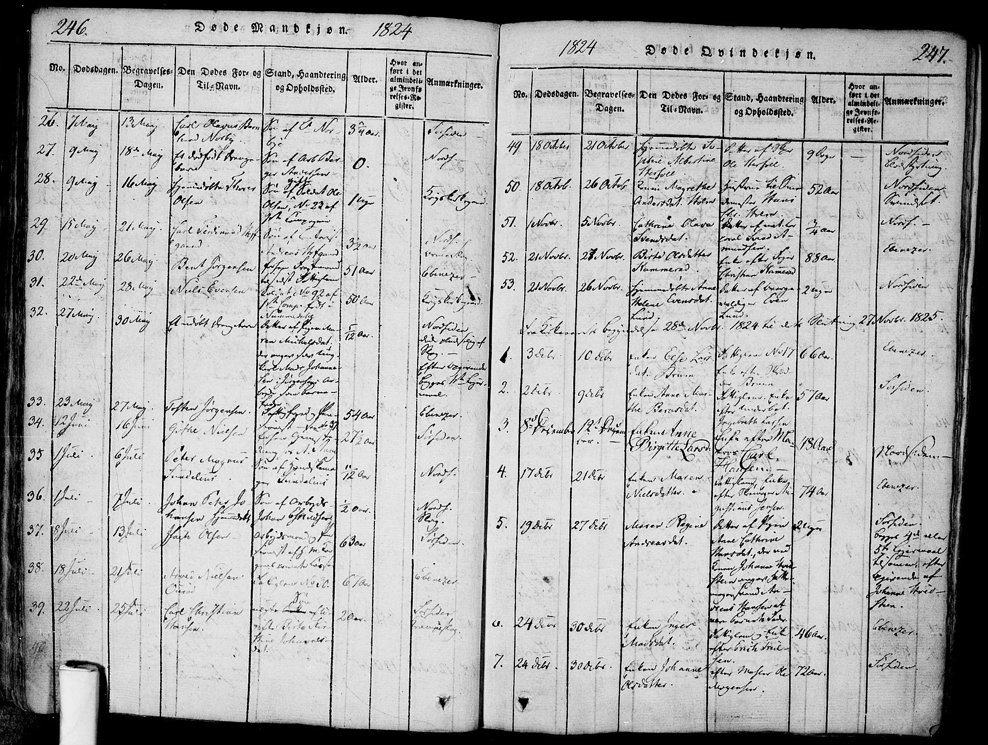 Halden prestekontor Kirkebøker, AV/SAO-A-10909/F/Fa/L0003: Parish register (official) no. I 3, 1815-1834, p. 246-247