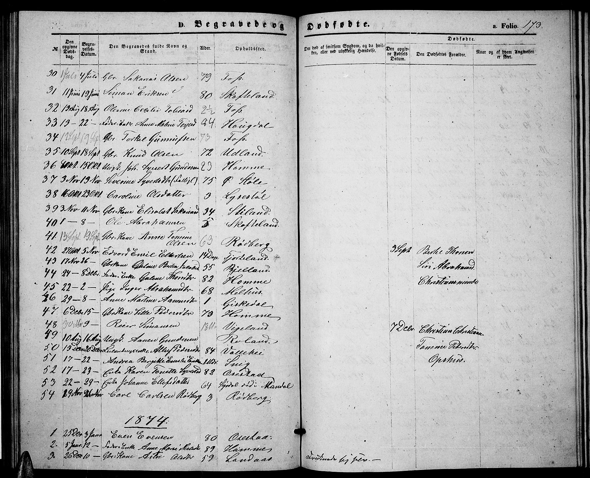 Sør-Audnedal sokneprestkontor, AV/SAK-1111-0039/F/Fb/Fbb/L0004: Parish register (copy) no. B 4, 1868-1879, p. 173