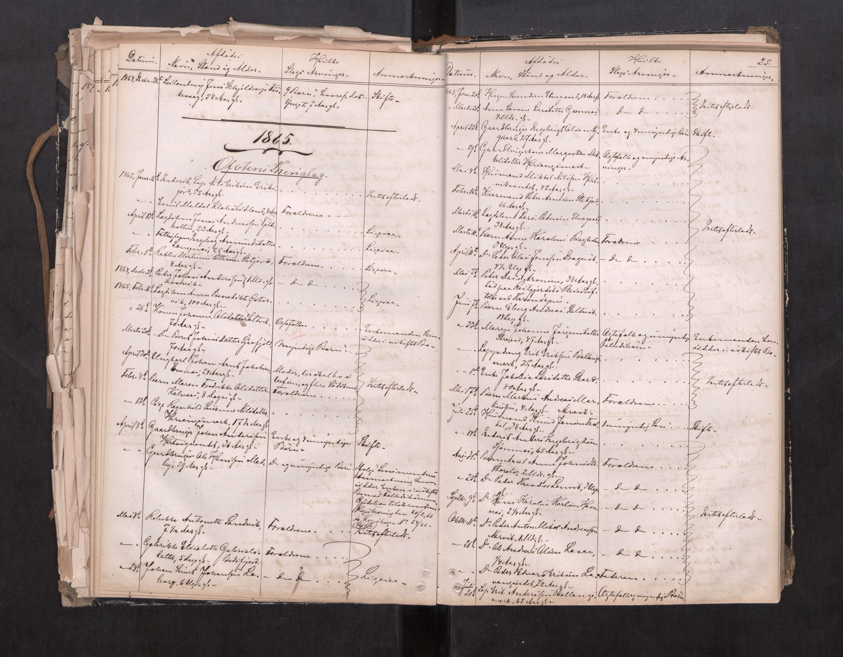 Salten sorenskriveri, AV/SAT-A-4578/1/3/3L/L0001: Dødsfallprotokoll, 1863-1876, p. 25