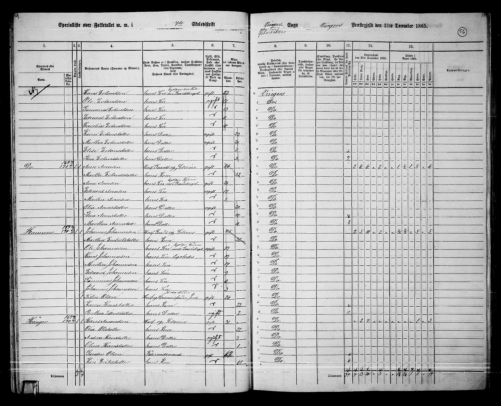 RA, 1865 census for Vinger/Vinger og Austmarka, 1865, p. 53