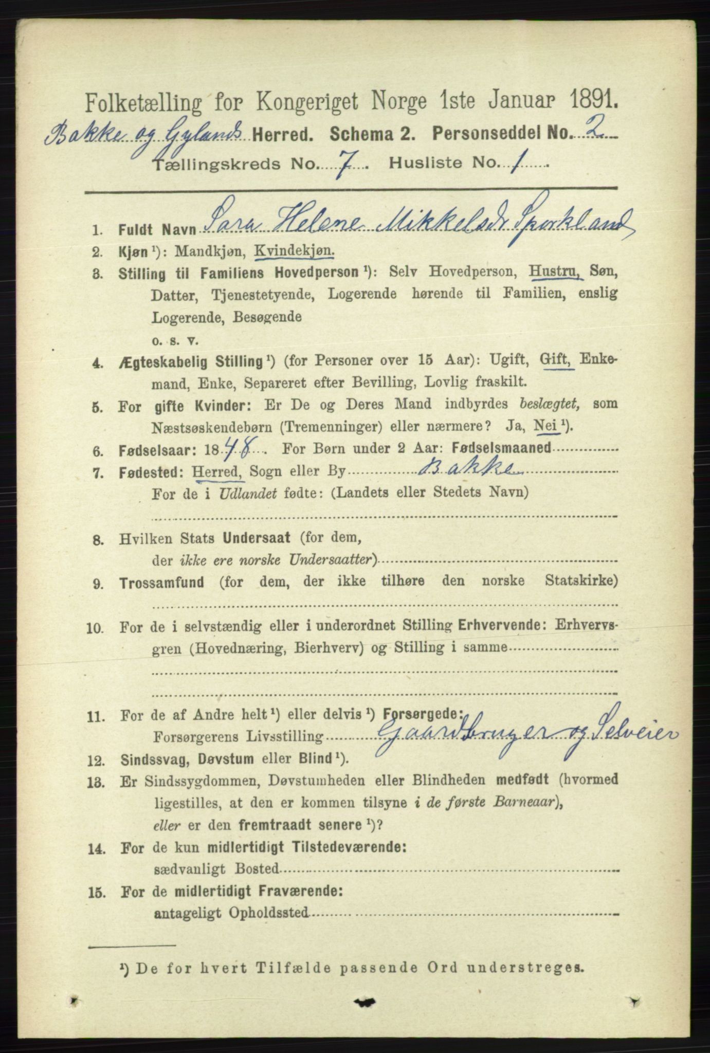 RA, 1891 census for 1045 Bakke, 1891, p. 1306