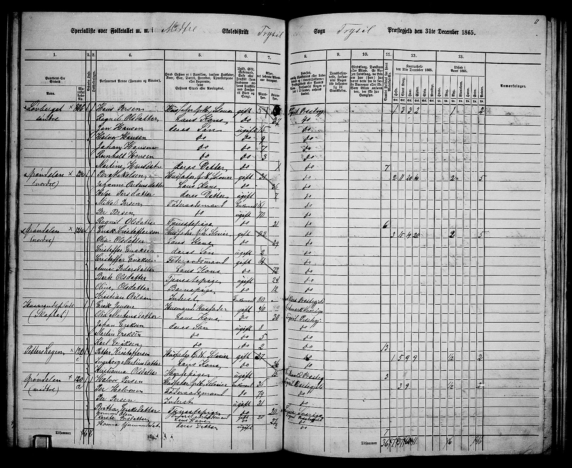 RA, 1865 census for Trysil, 1865, p. 122