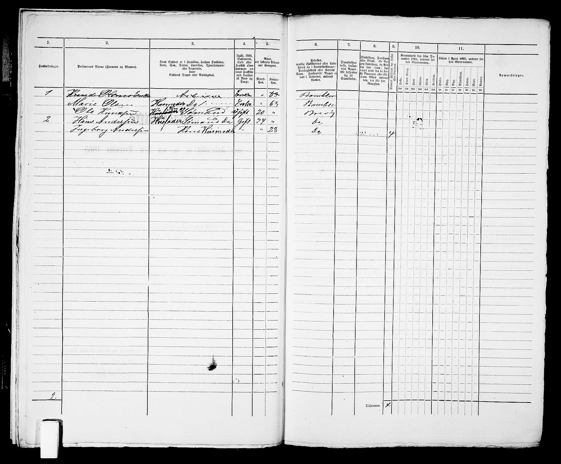 RA, 1865 census for Brevik, 1865, p. 390