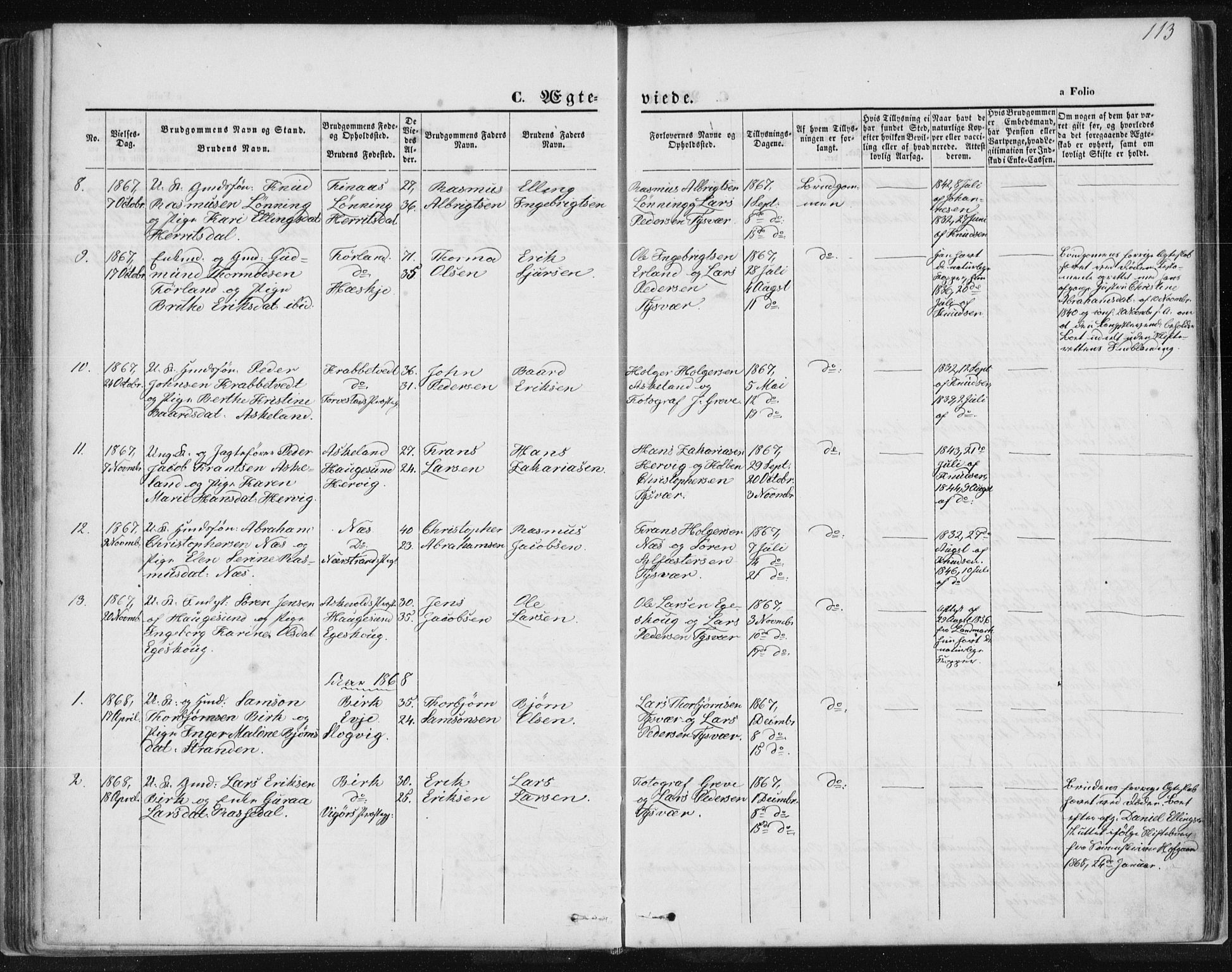 Tysvær sokneprestkontor, AV/SAST-A -101864/H/Ha/Haa/L0005: Parish register (official) no. A 5, 1865-1878, p. 113