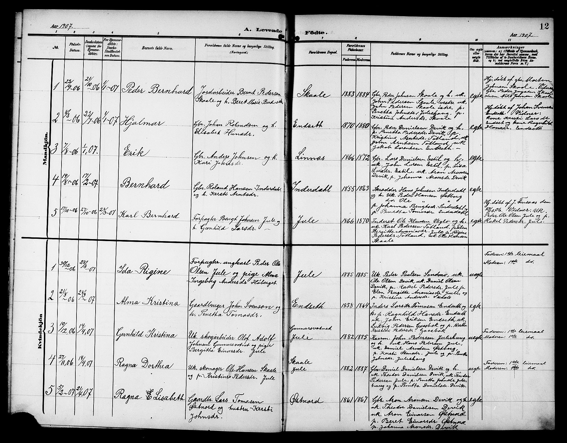 Ministerialprotokoller, klokkerbøker og fødselsregistre - Nord-Trøndelag, AV/SAT-A-1458/757/L0506: Parish register (copy) no. 757C01, 1904-1922, p. 12