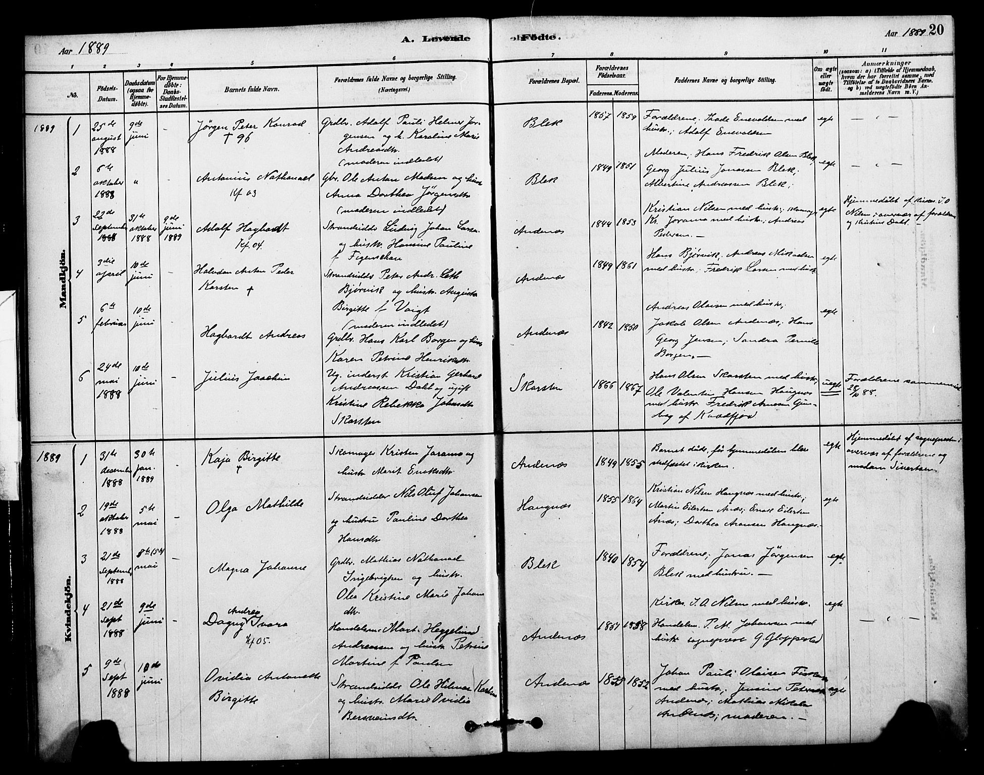 Ministerialprotokoller, klokkerbøker og fødselsregistre - Nordland, AV/SAT-A-1459/899/L1436: Parish register (official) no. 899A04, 1881-1896, p. 20