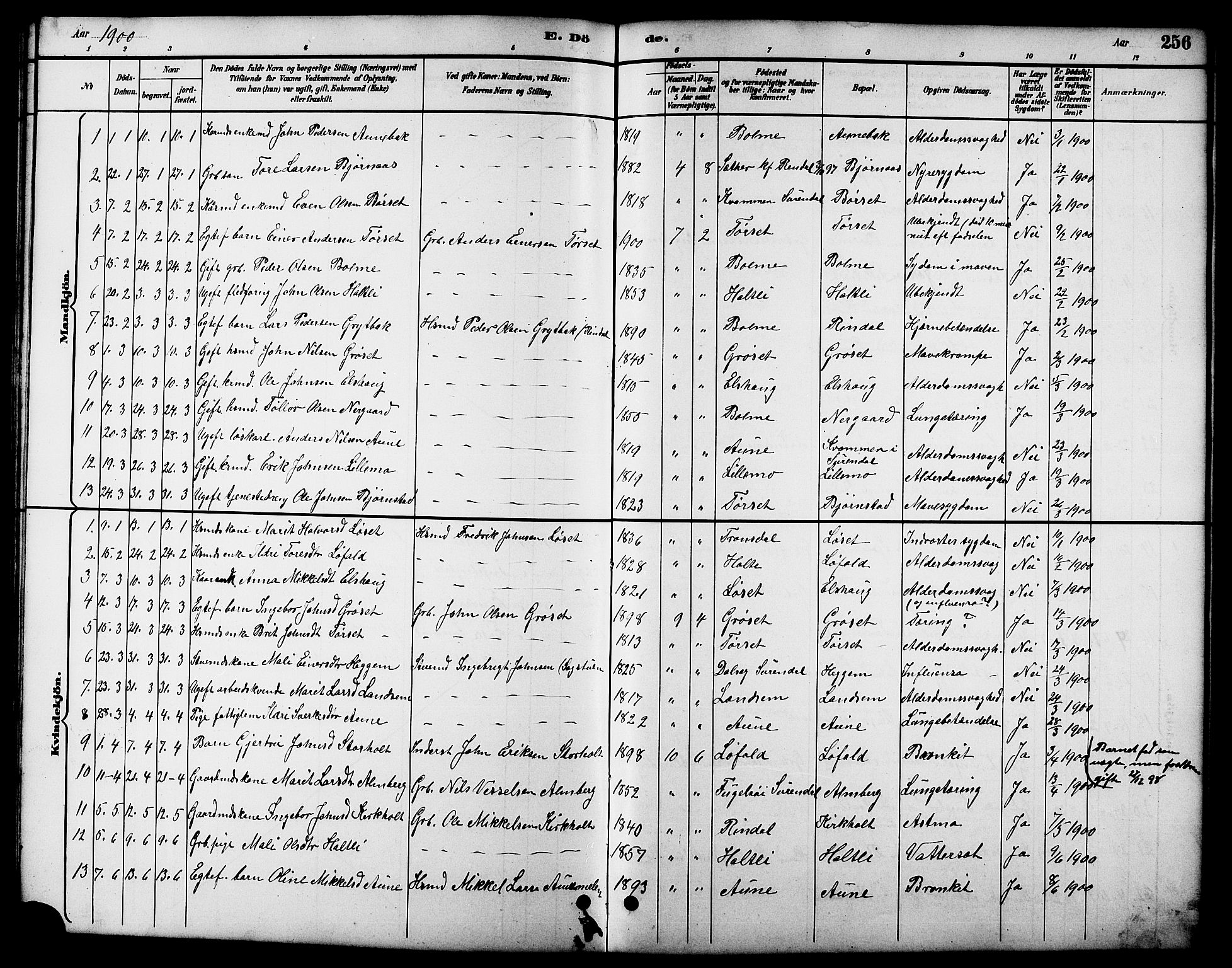 Ministerialprotokoller, klokkerbøker og fødselsregistre - Møre og Romsdal, SAT/A-1454/598/L1078: Parish register (copy) no. 598C03, 1892-1909, p. 256