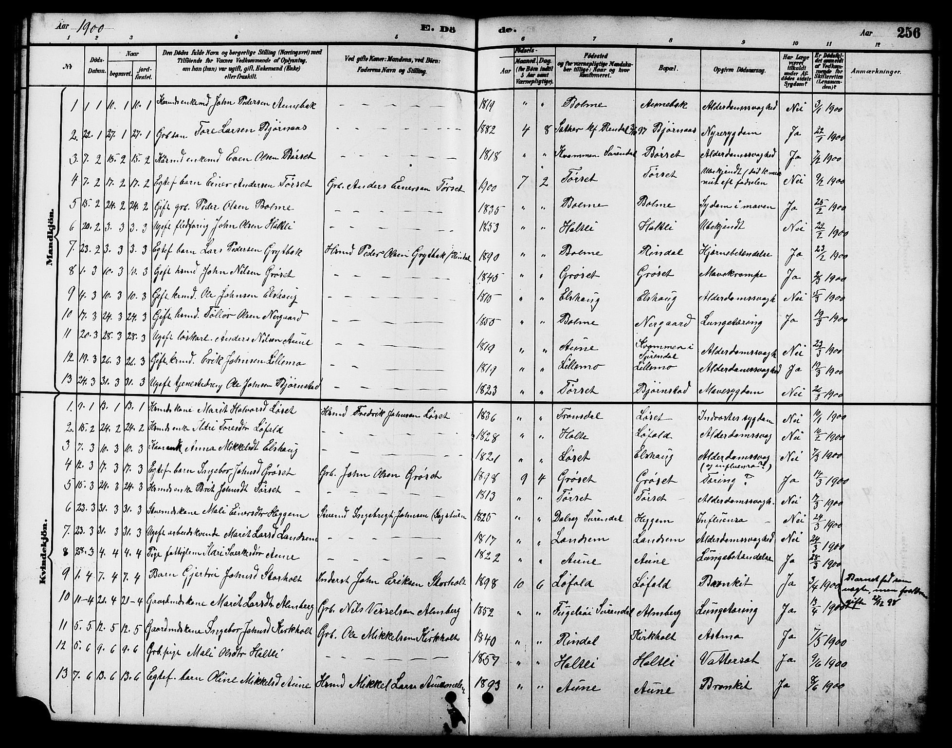 Ministerialprotokoller, klokkerbøker og fødselsregistre - Møre og Romsdal, AV/SAT-A-1454/598/L1078: Parish register (copy) no. 598C03, 1892-1909, p. 256