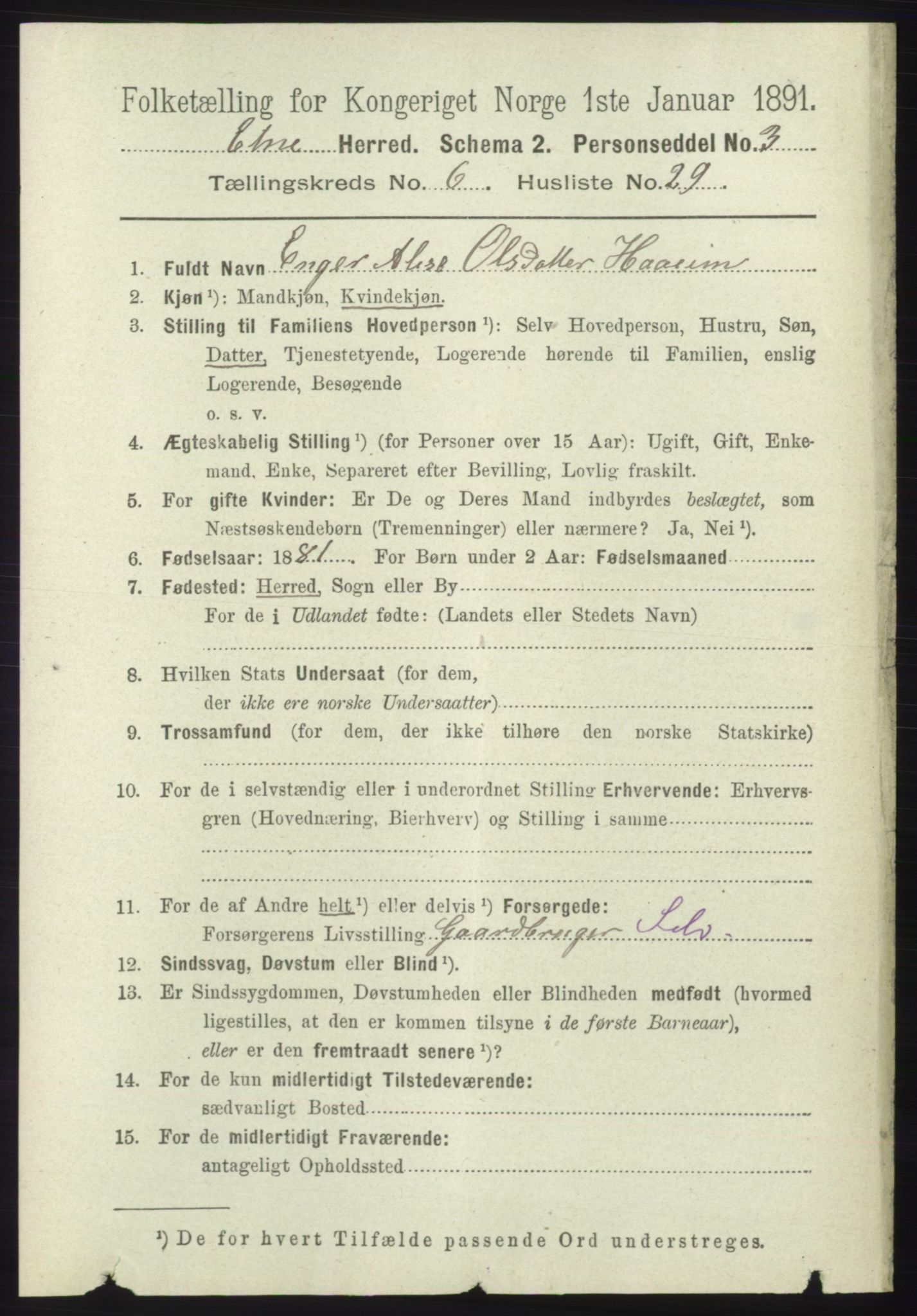 RA, 1891 census for 1211 Etne, 1891, p. 1353