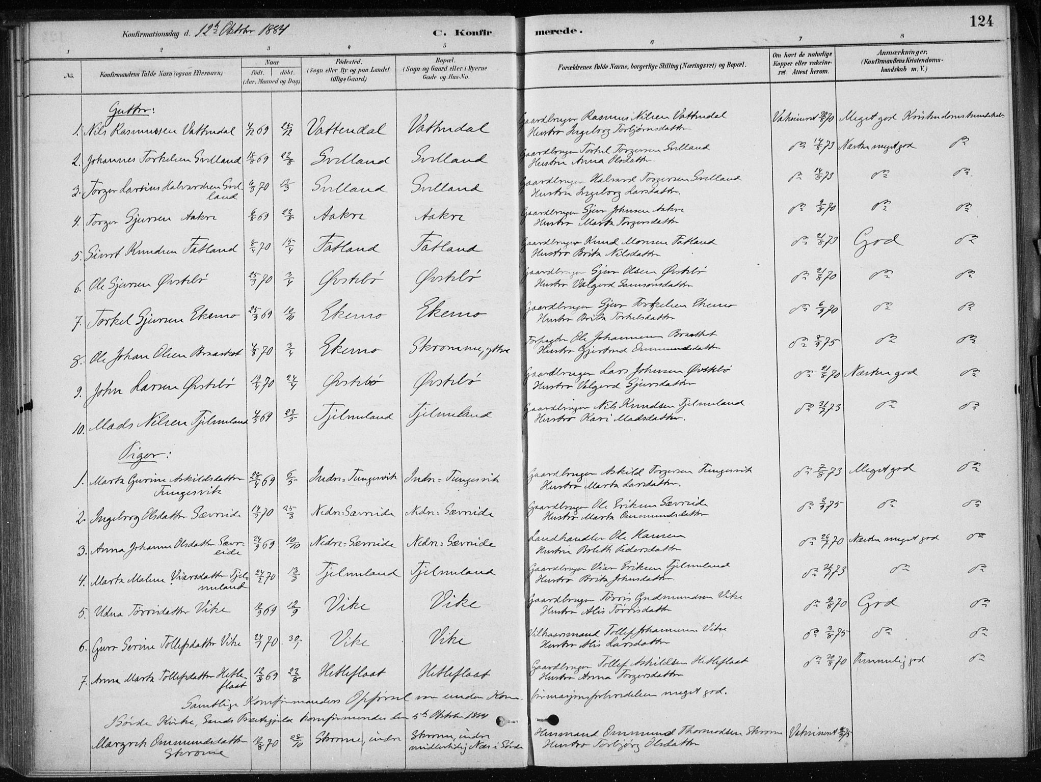 Skånevik sokneprestembete, SAB/A-77801/H/Haa: Parish register (official) no. E  1, 1879-1901, p. 124