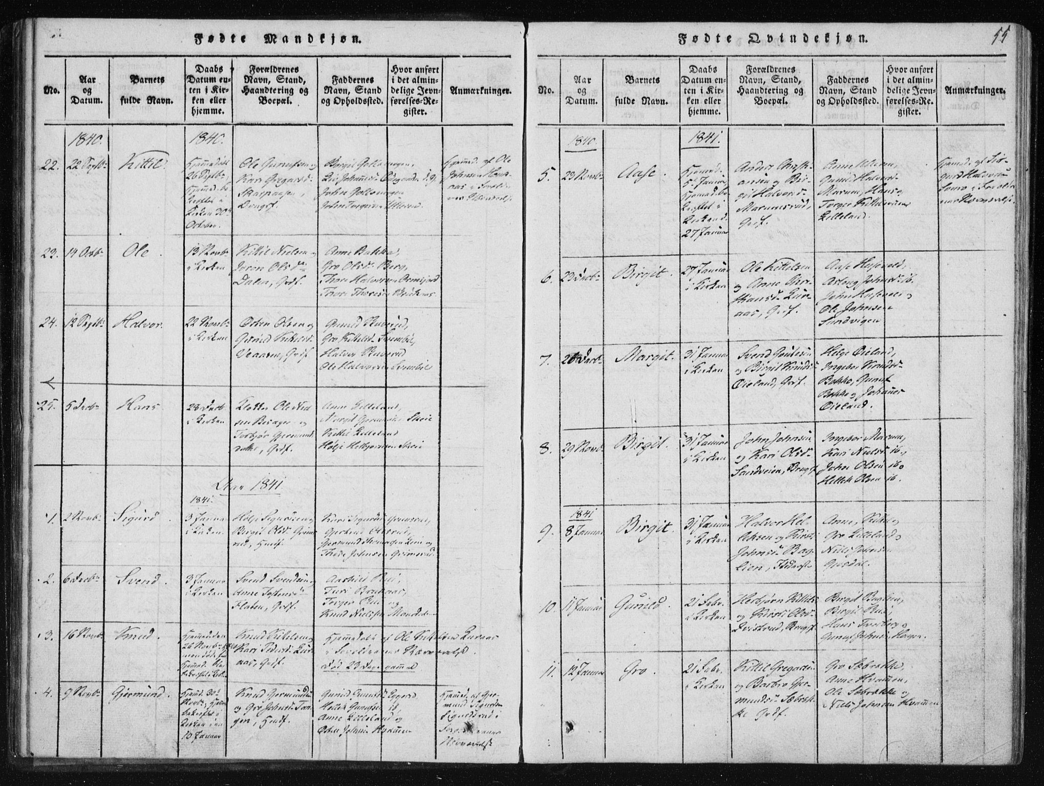 Tinn kirkebøker, SAKO/A-308/F/Fb/L0001: Parish register (official) no. II 1, 1815-1843, p. 55
