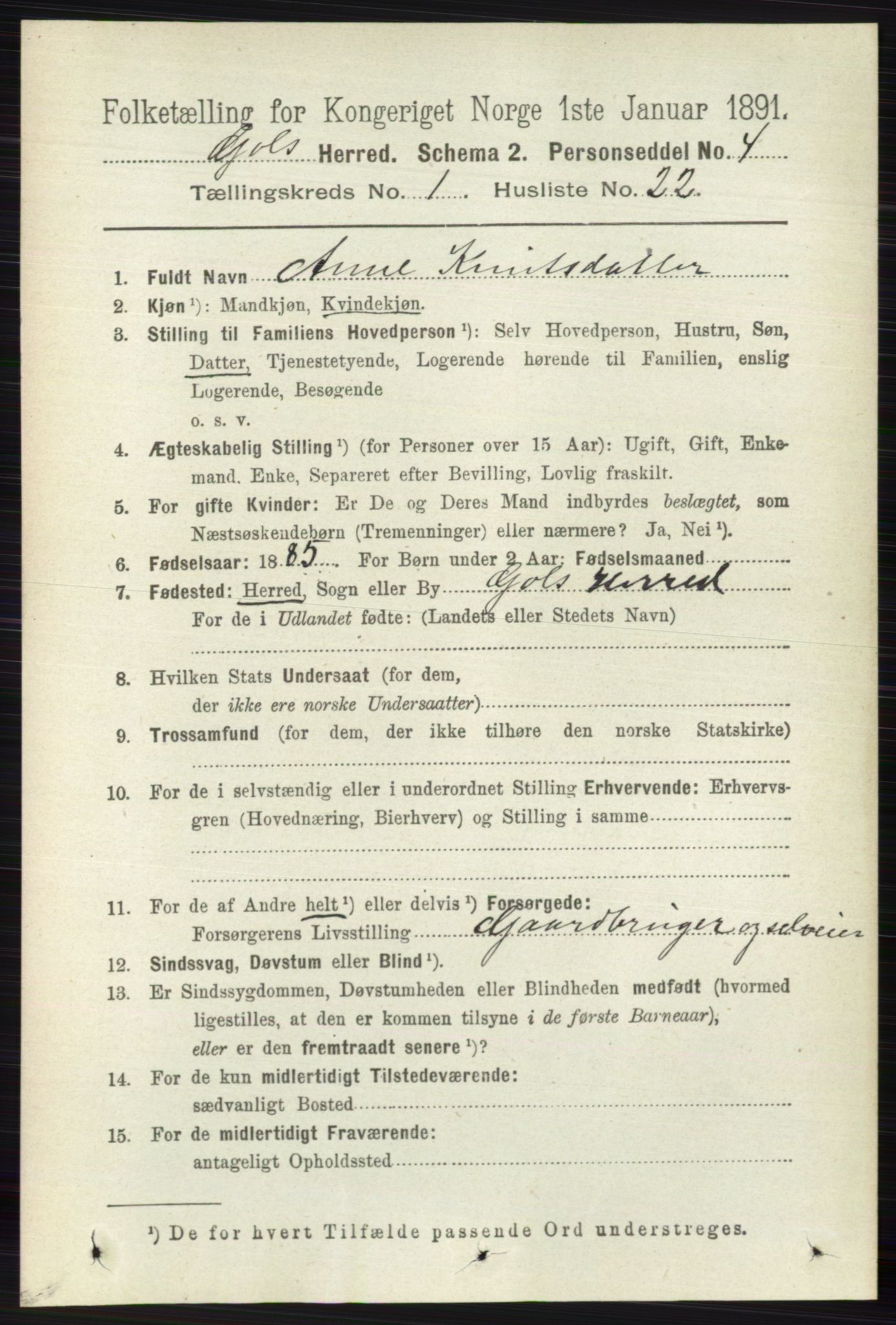 RA, 1891 census for 0617 Gol og Hemsedal, 1891, p. 222