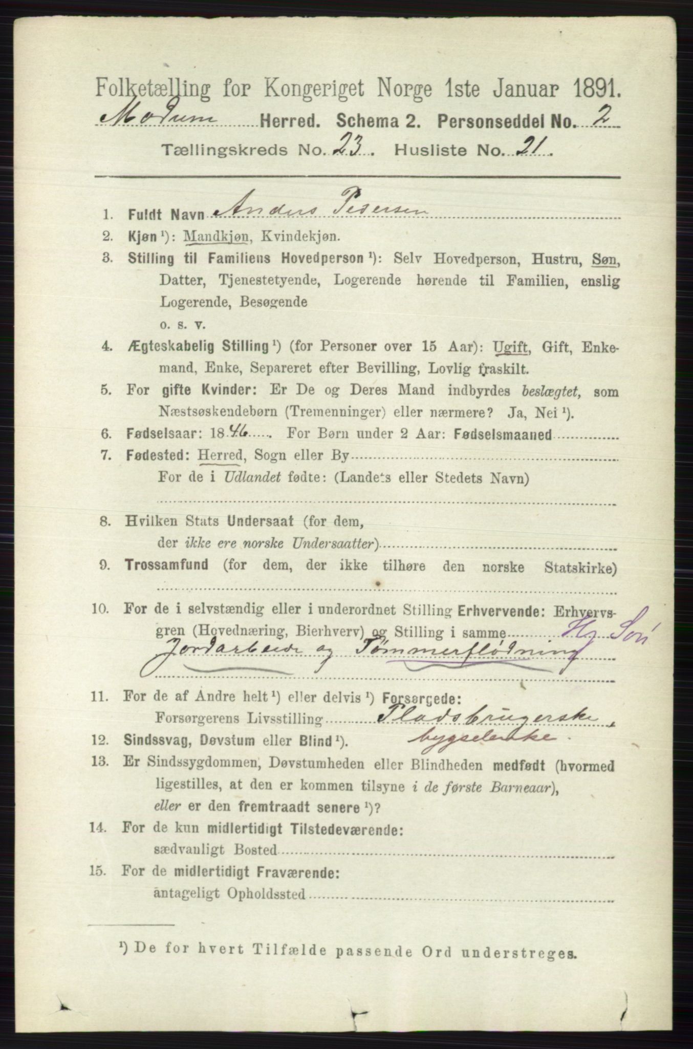 RA, 1891 census for 0623 Modum, 1891, p. 8803