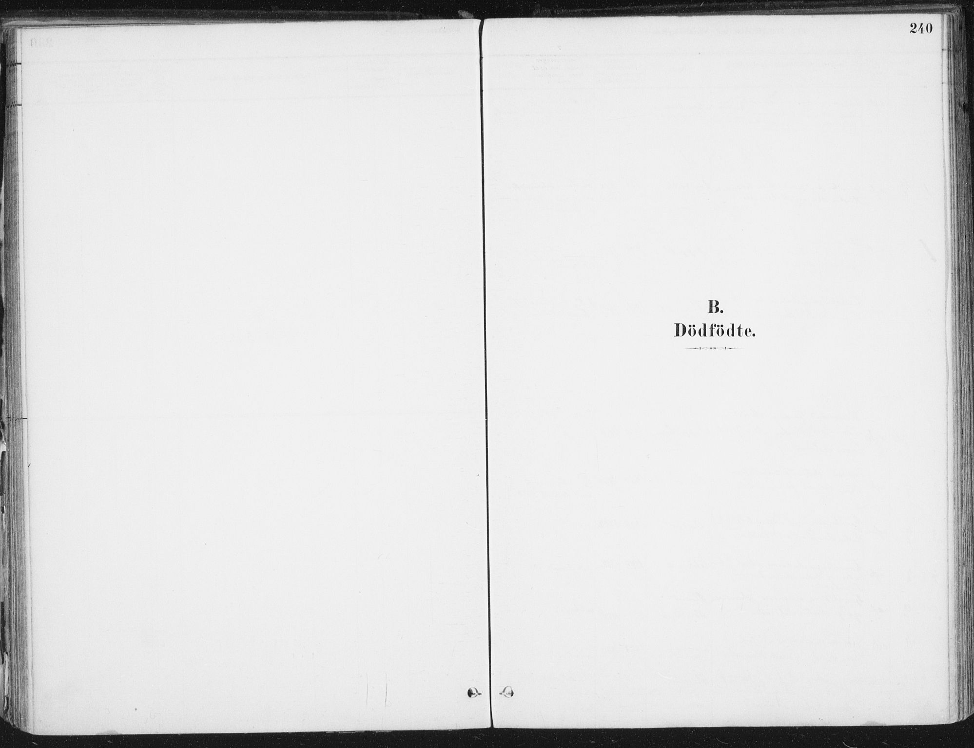 Ministerialprotokoller, klokkerbøker og fødselsregistre - Nordland, AV/SAT-A-1459/838/L0552: Parish register (official) no. 838A10, 1880-1910, p. 240