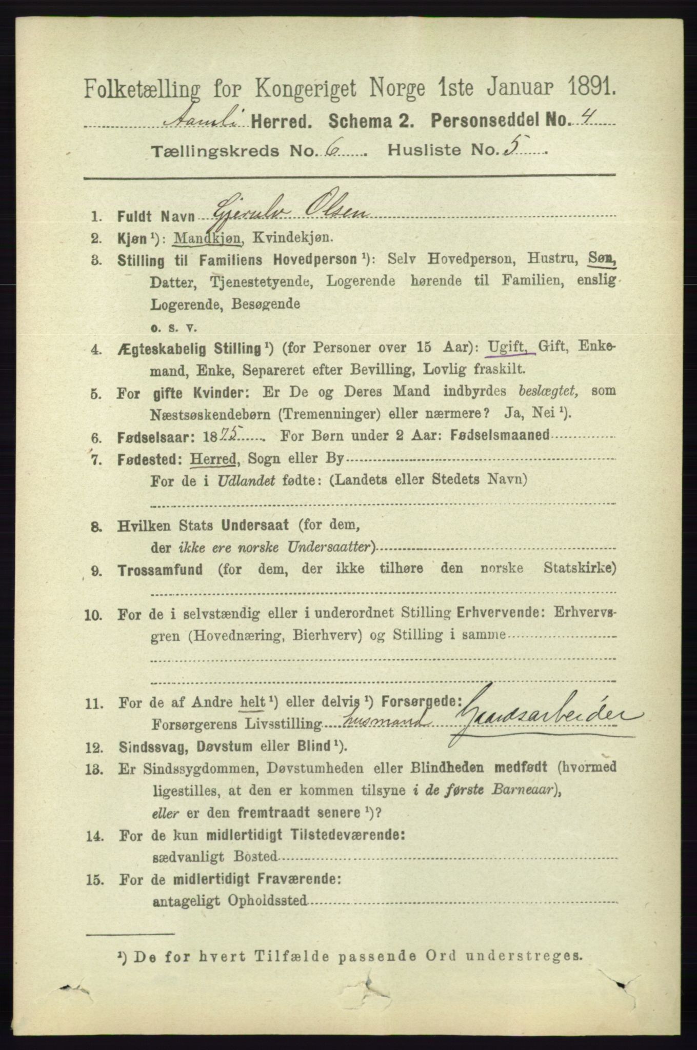 RA, 1891 census for 0929 Åmli, 1891, p. 913