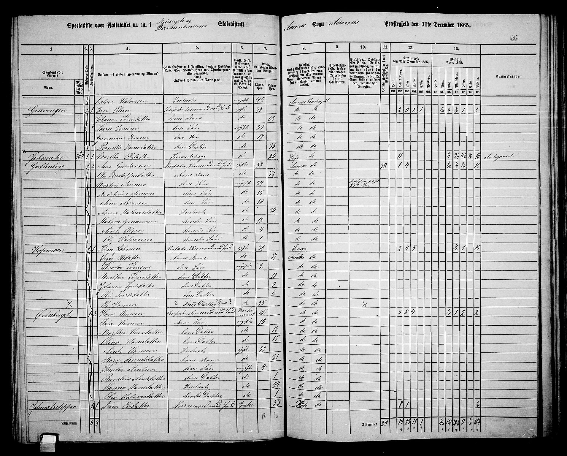 RA, 1865 census for Åsnes, 1865, p. 121